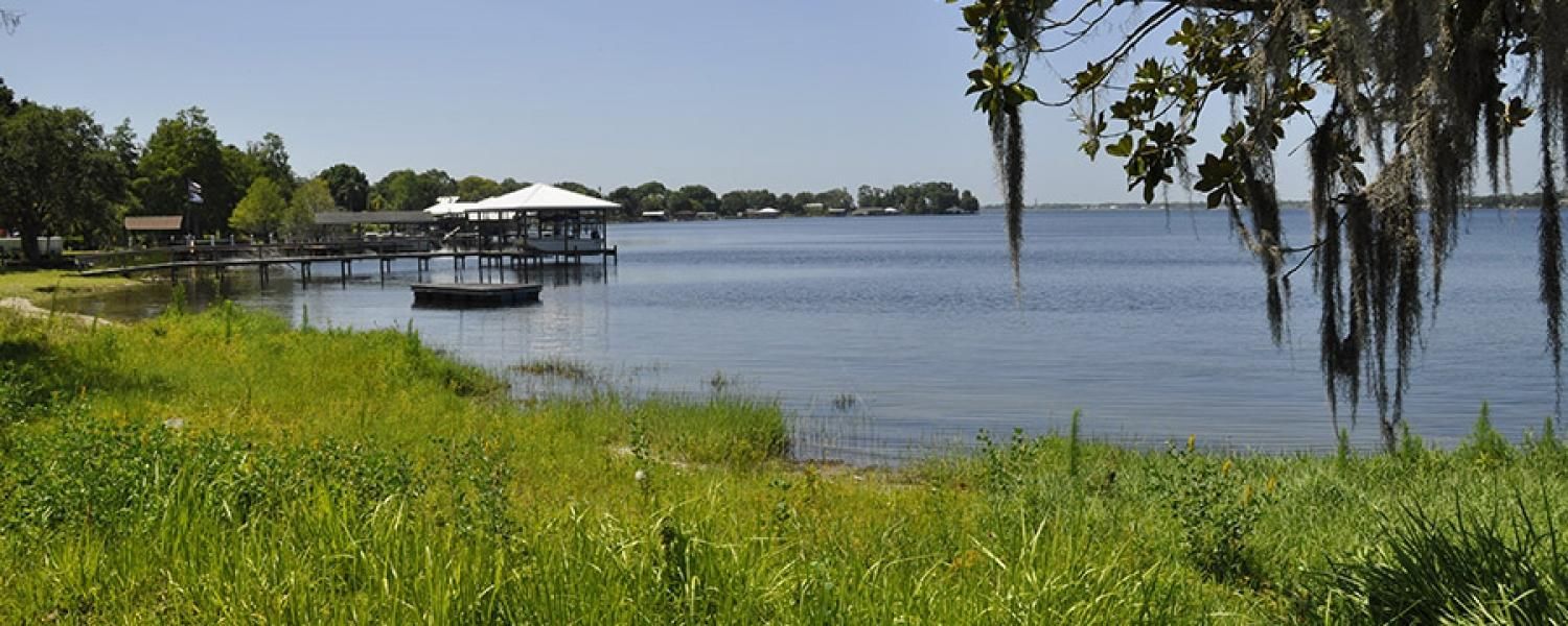 Sebring, Highlands County, FL Lakefront Property, Waterfront Property