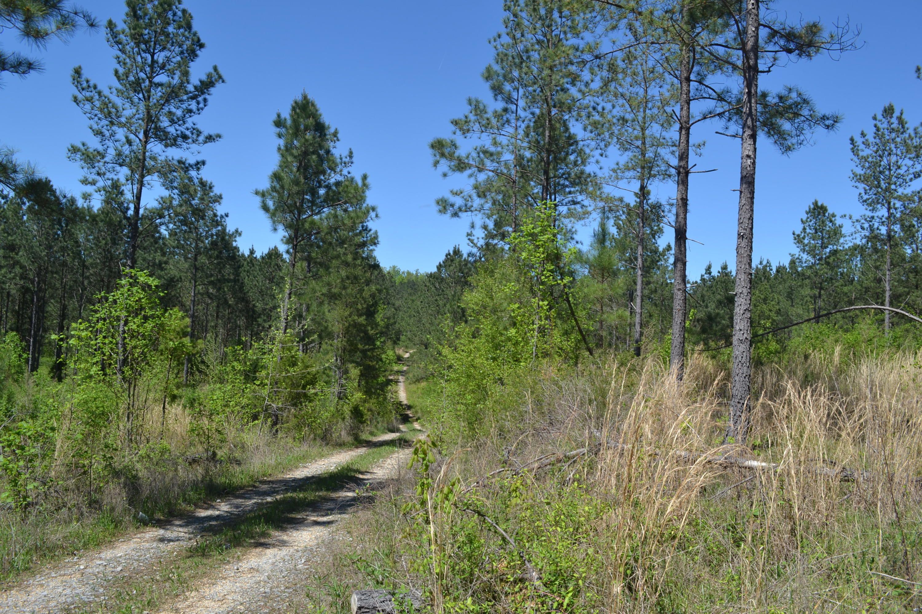 Ten Mile, Meigs County, TN Undeveloped Land for sale Property ID