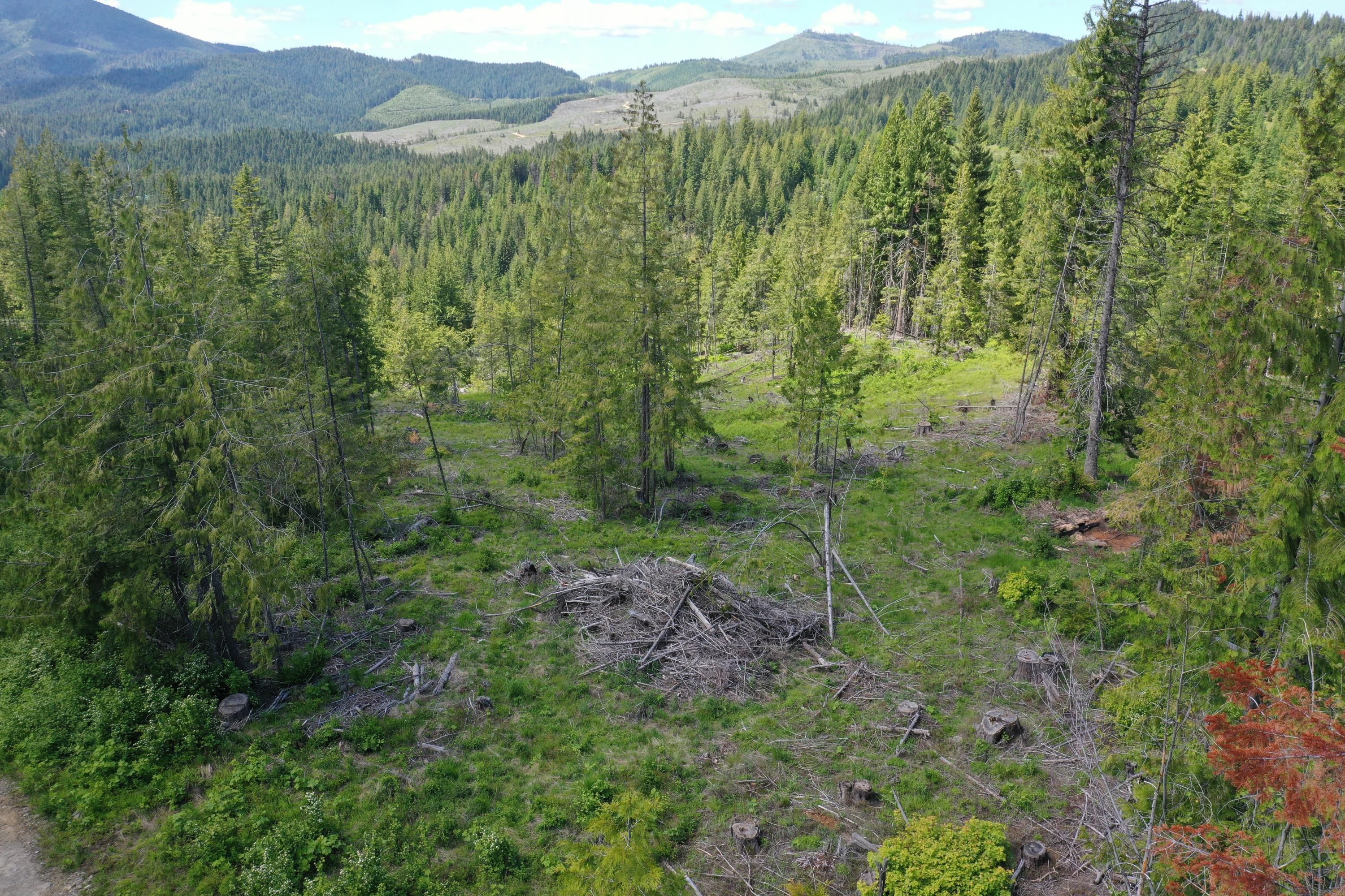 Emida, Benewah County, ID Undeveloped Land for sale Property ID