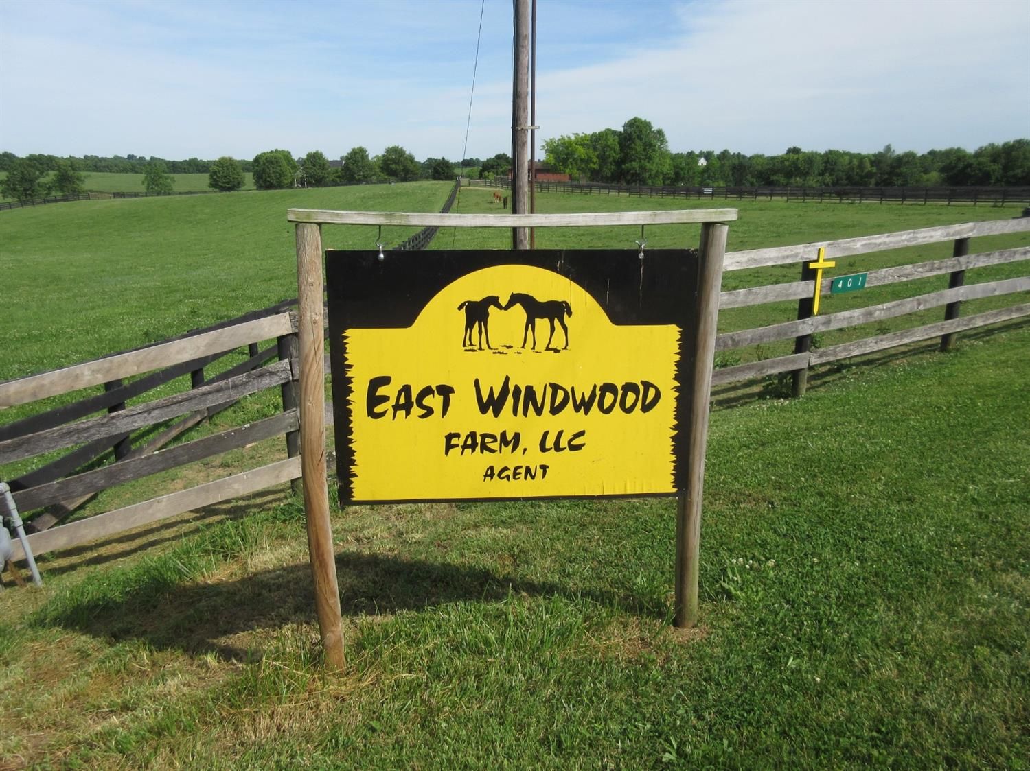 Midway, Woodford County, KY Farms and Ranches, House for sale Property