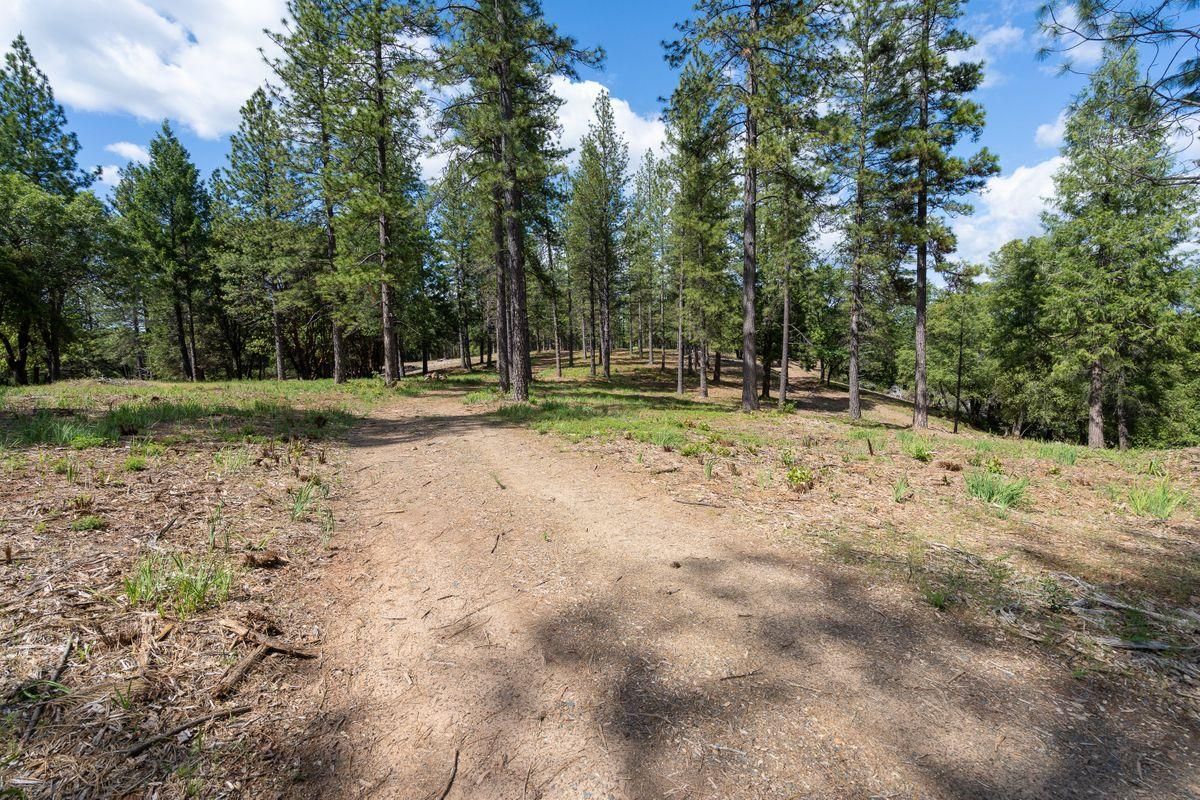Pine Grove, Amador County, CA Recreational Property, Hunting Property