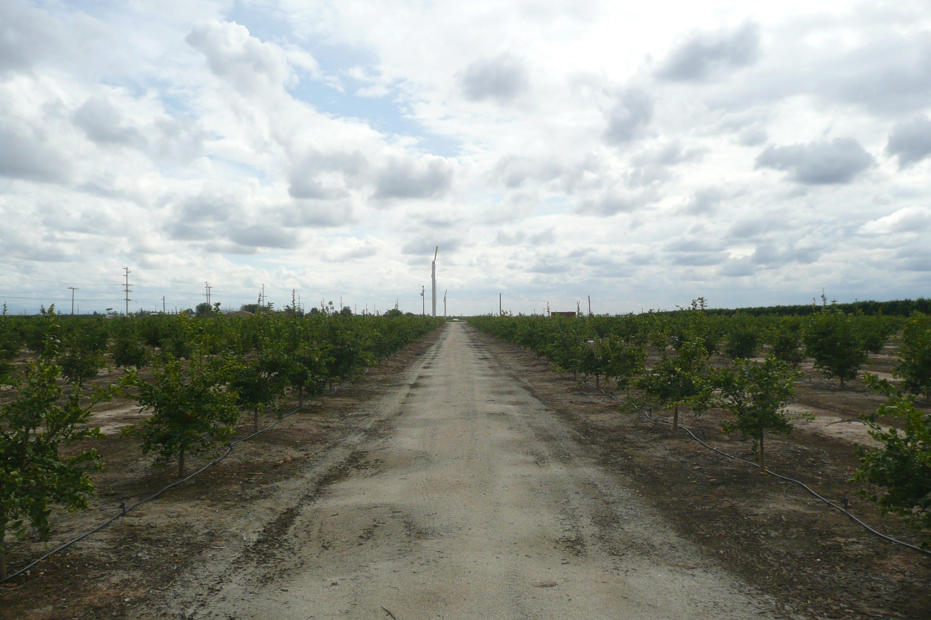 Porterville, Tulare County, CA Farms and Ranches for sale Property ID