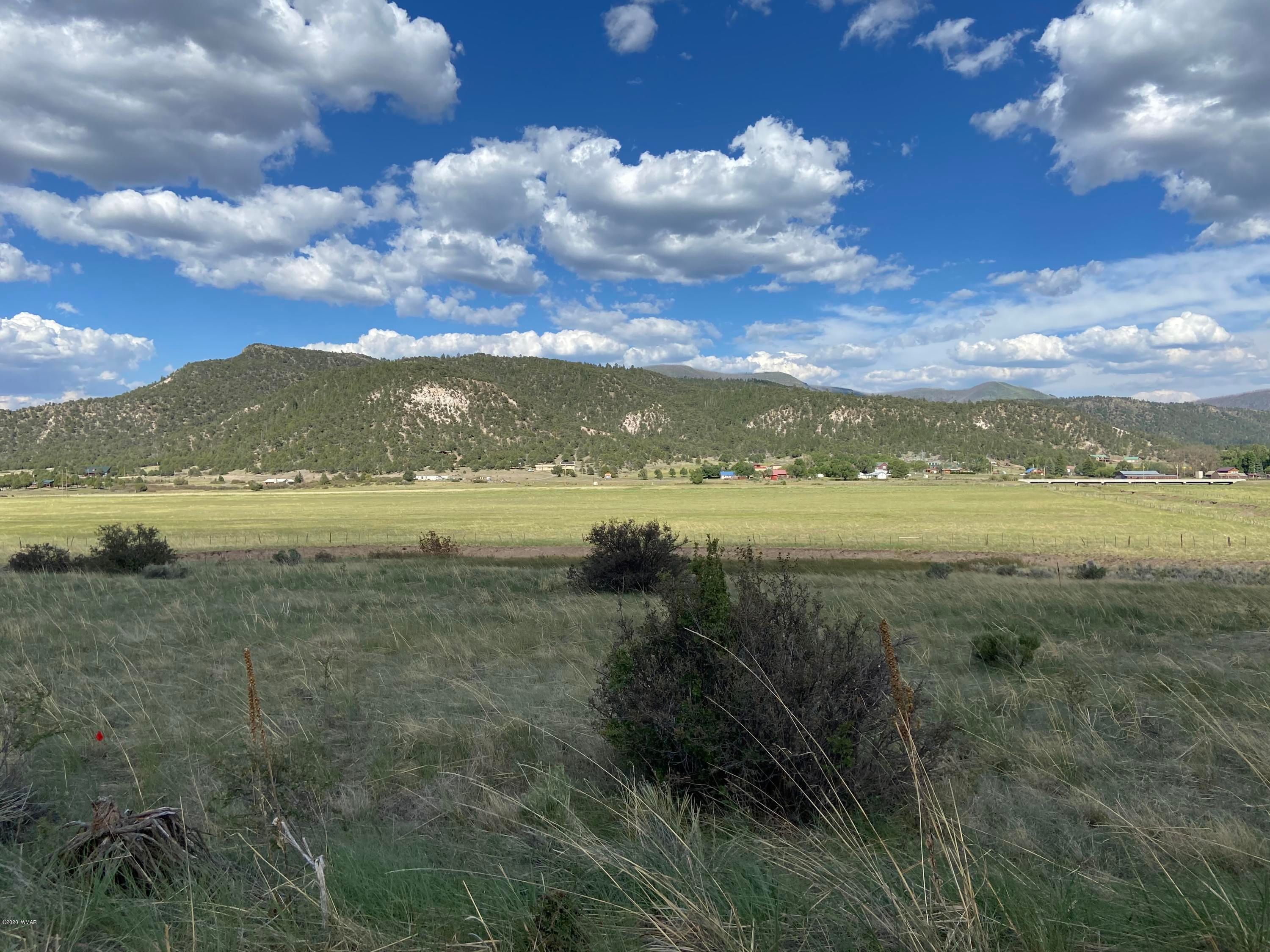 Nutrioso, Apache County, AZ Undeveloped Land, Homesites for sale