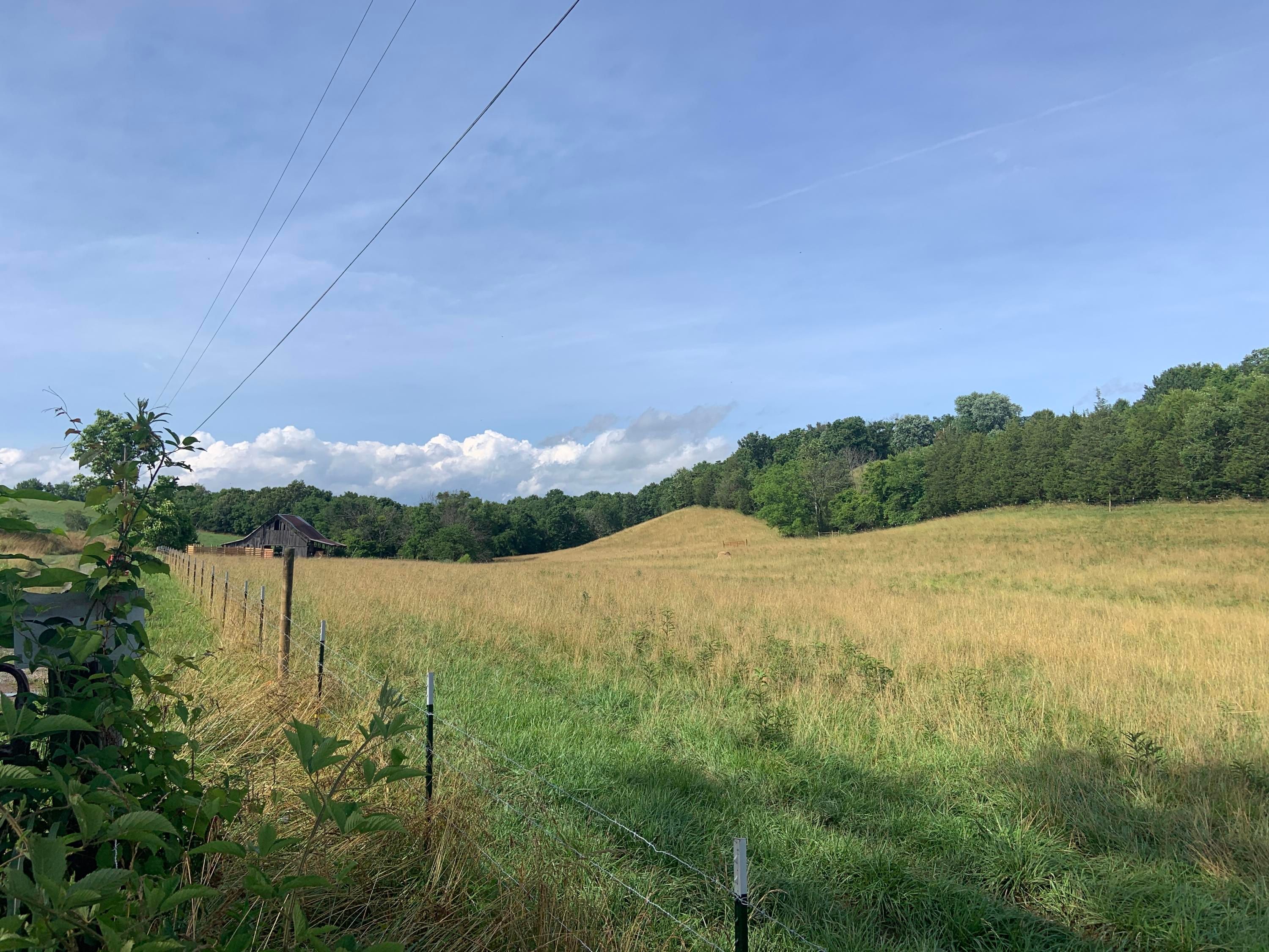 Greeneville, Greene County, TN Undeveloped Land for sale Property ID