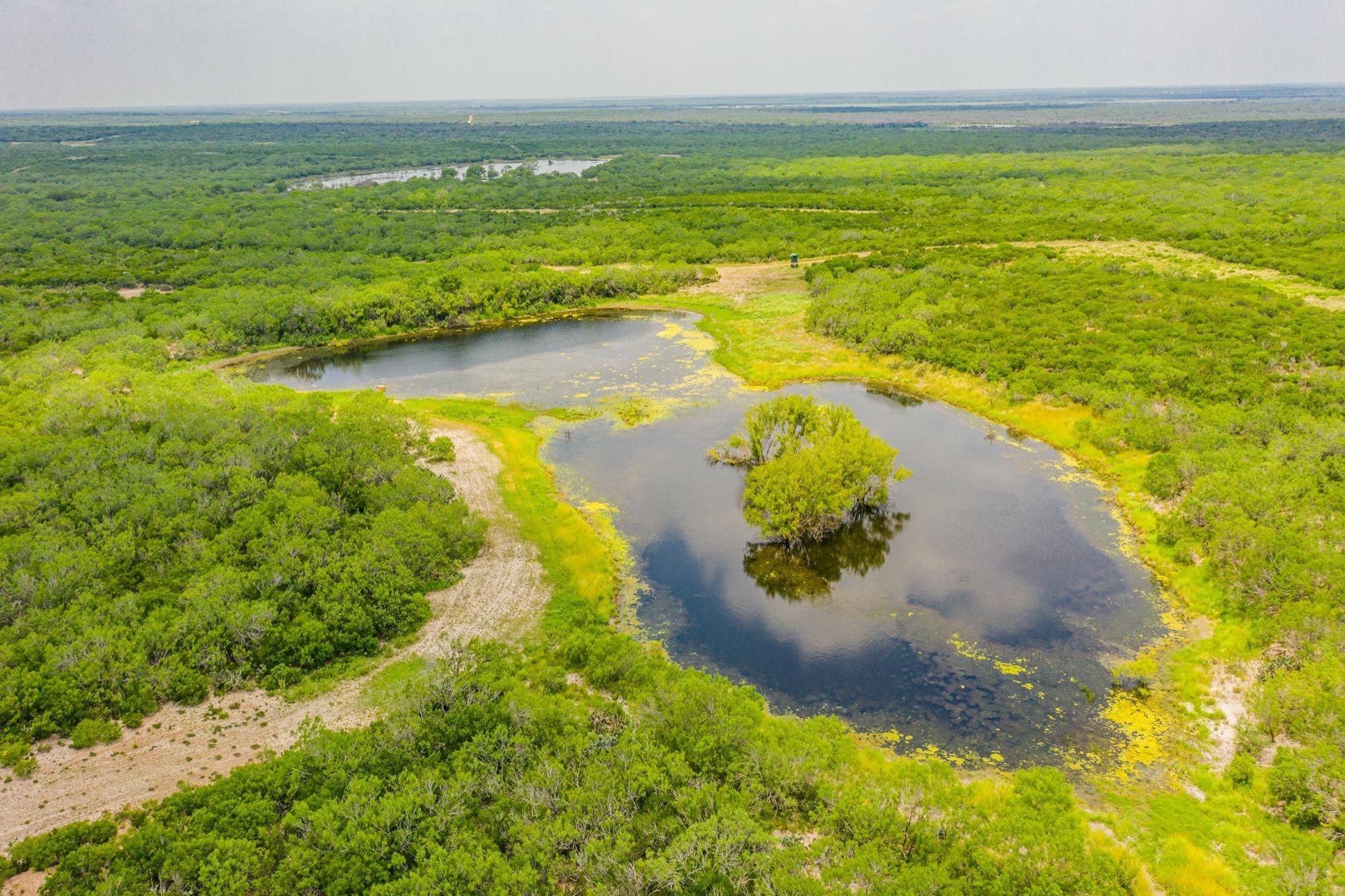 Tilden, McMullen County, TX Recreational Property, Hunting Property