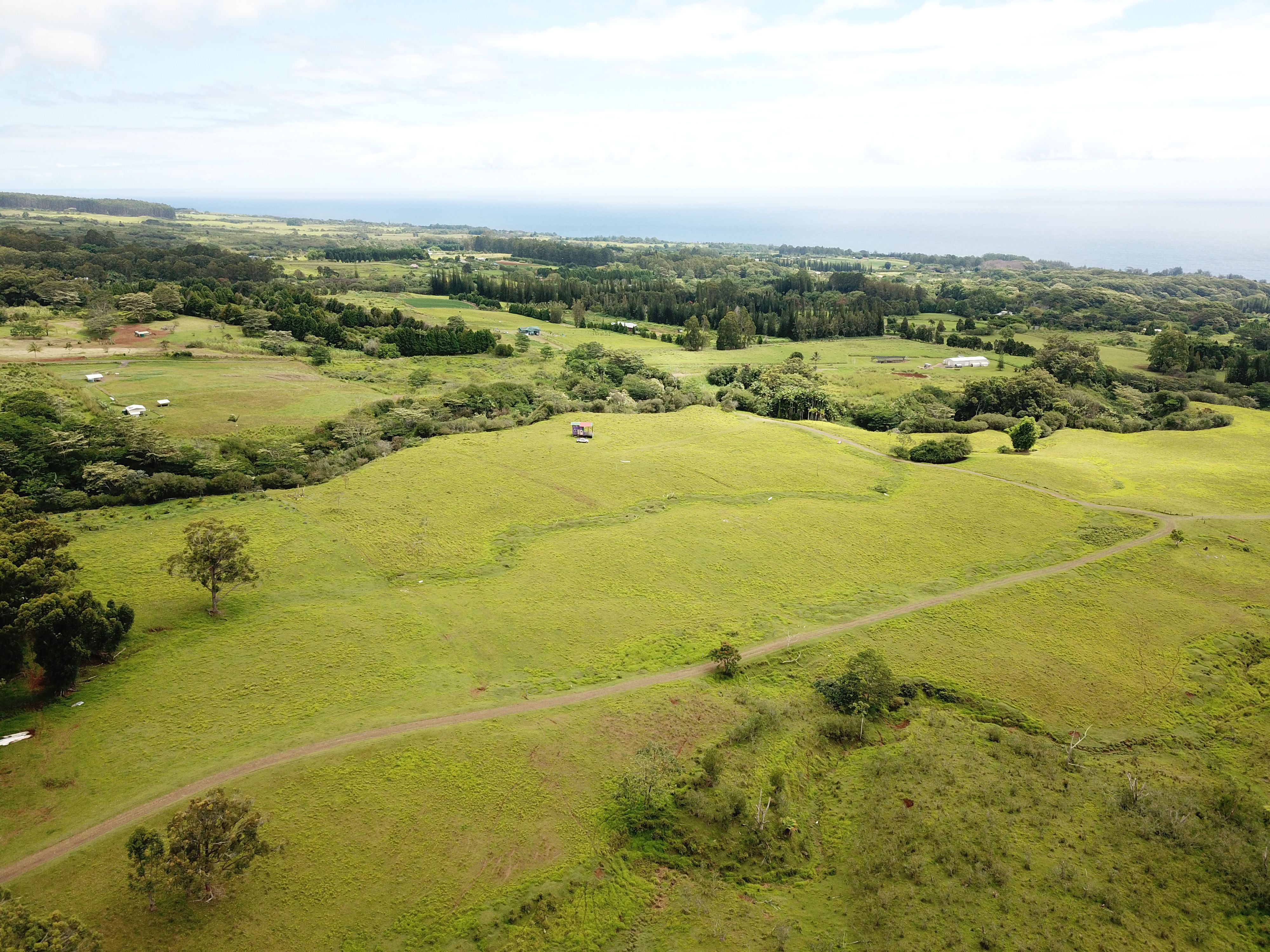 Hakalau, Hawaii County, HI Undeveloped Land for sale Property ID