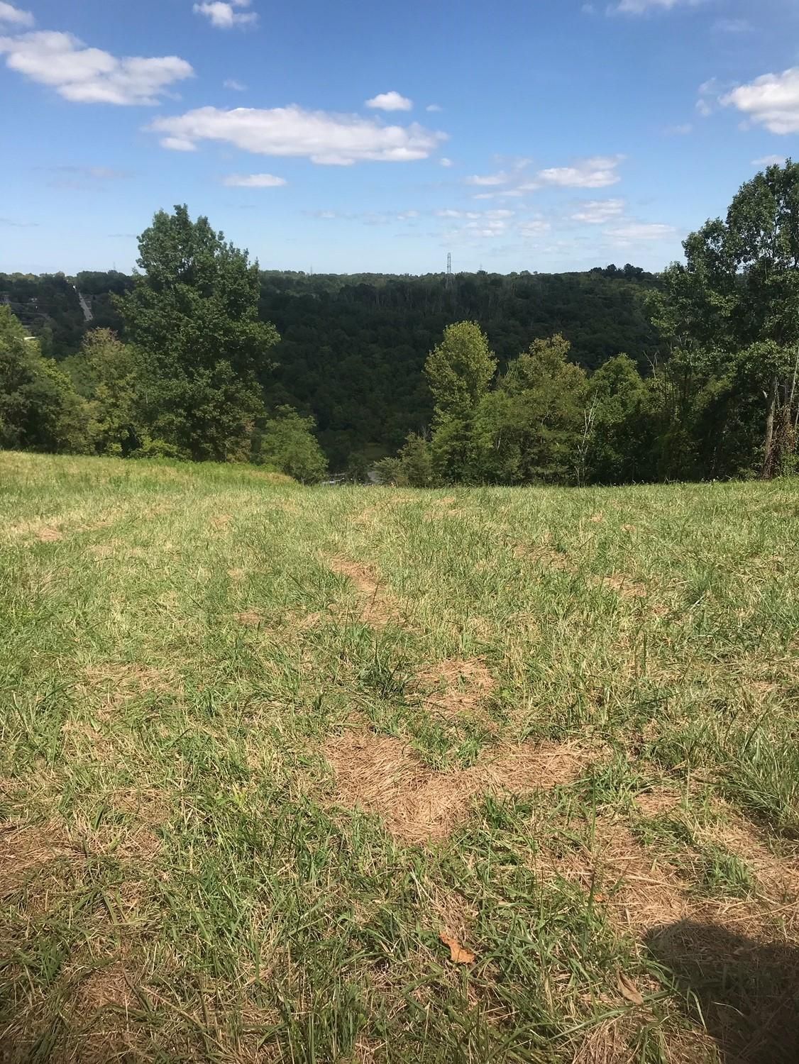 New Richmond, Clermont County, OH Undeveloped Land for sale Property ID