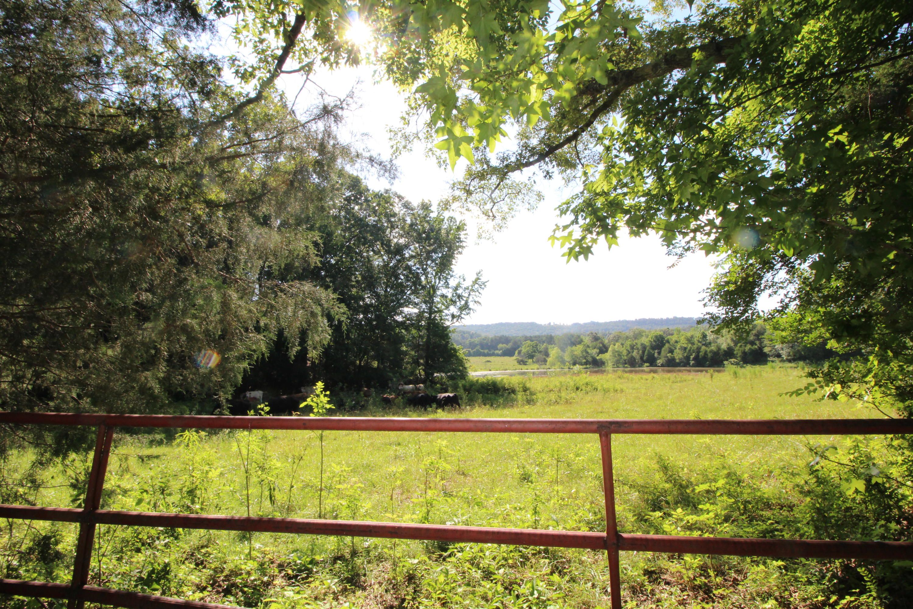 Valley Head, DeKalb County, AL Farms and Ranches for sale Property ID