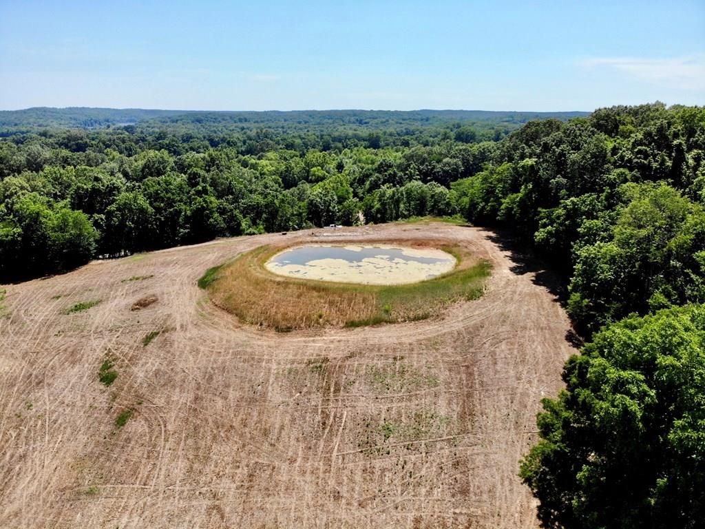 Indian Mound, Stewart County, TN Undeveloped Land for sale Property ID