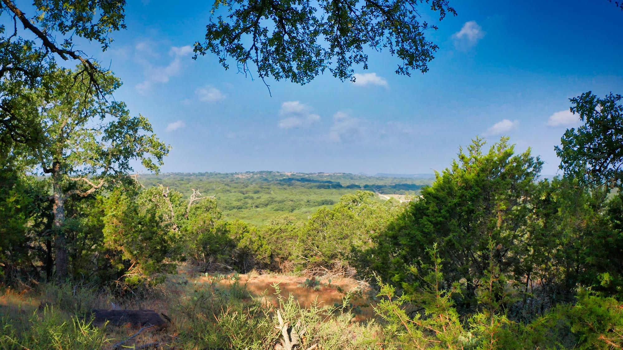 County, TX Farms and Ranches, Recreational Property