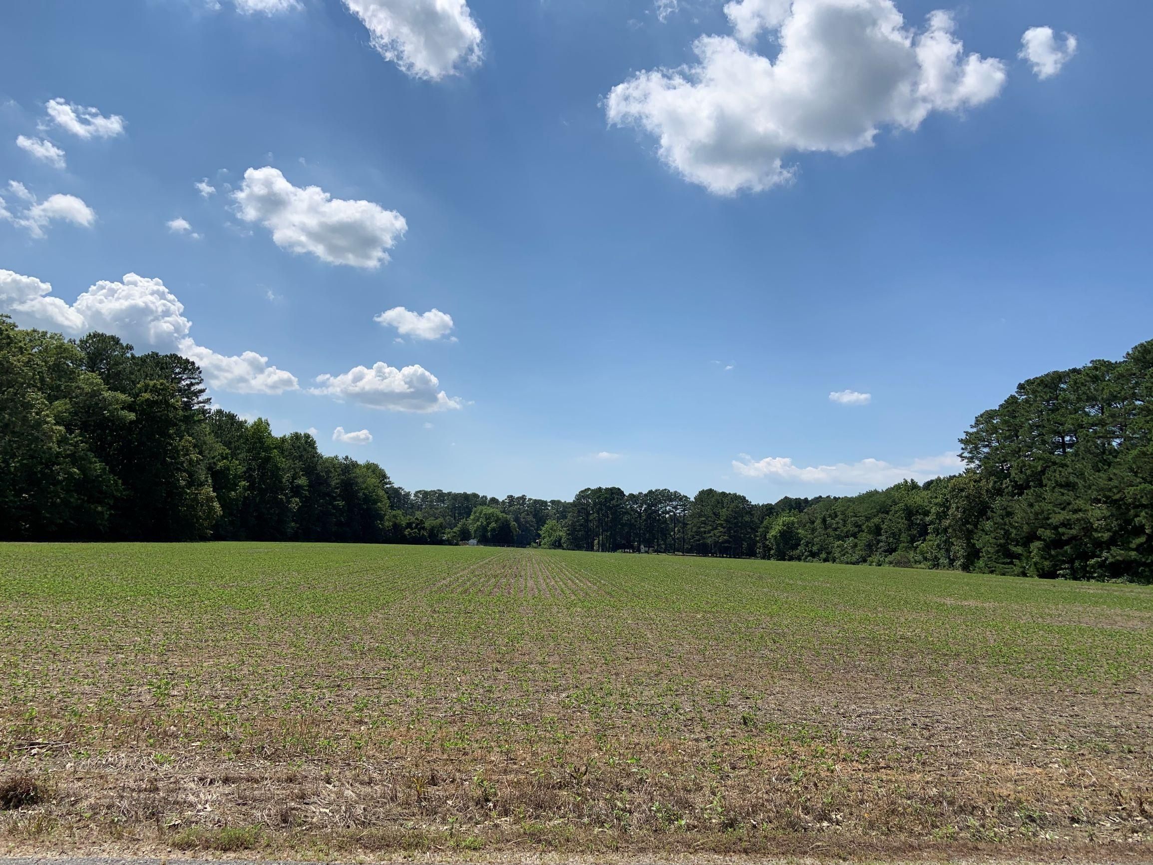 Kinsale, Westmoreland County, VA Timberland Property for sale Property