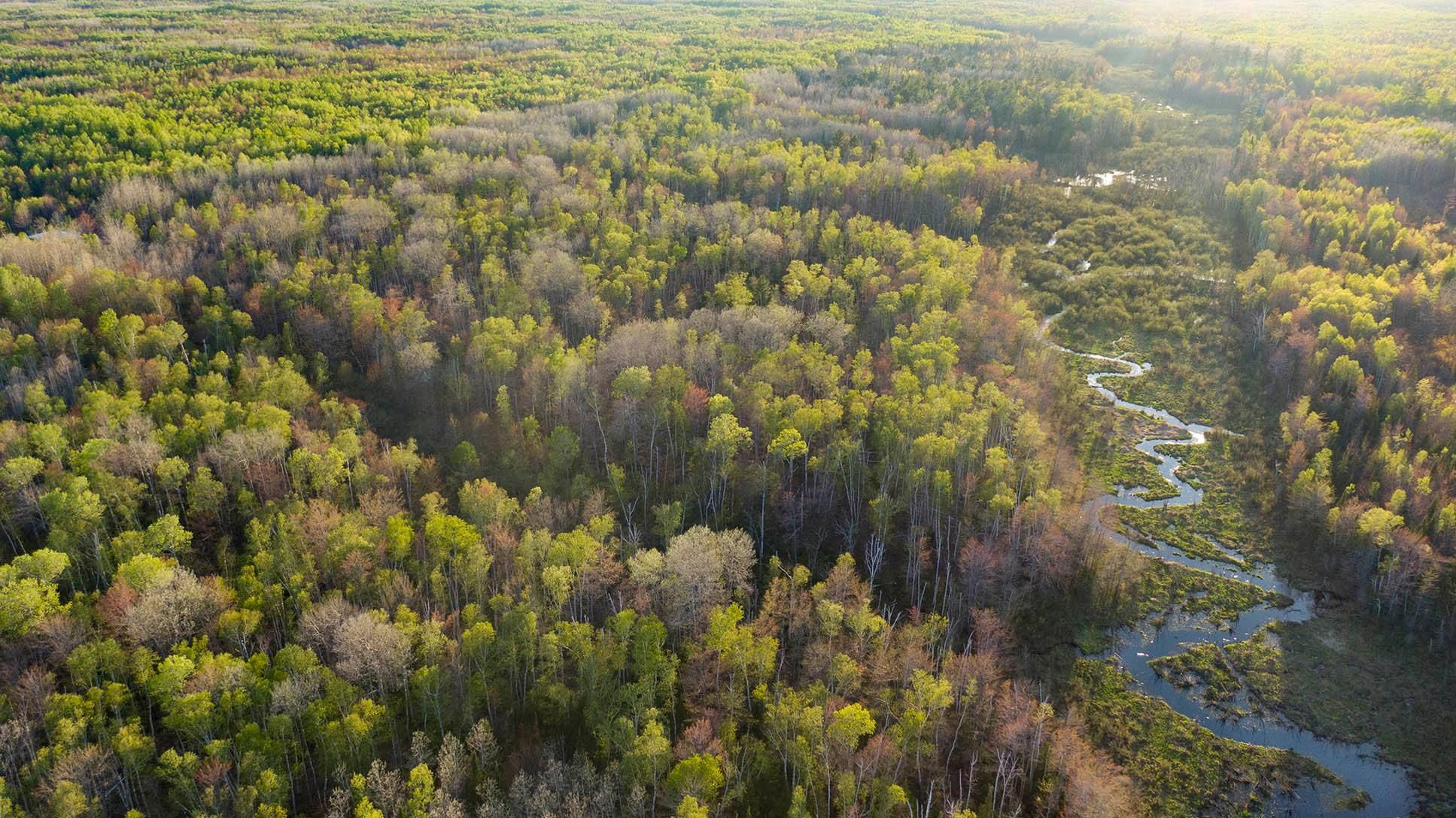 Northern Michigan Riverfront Property For Sale