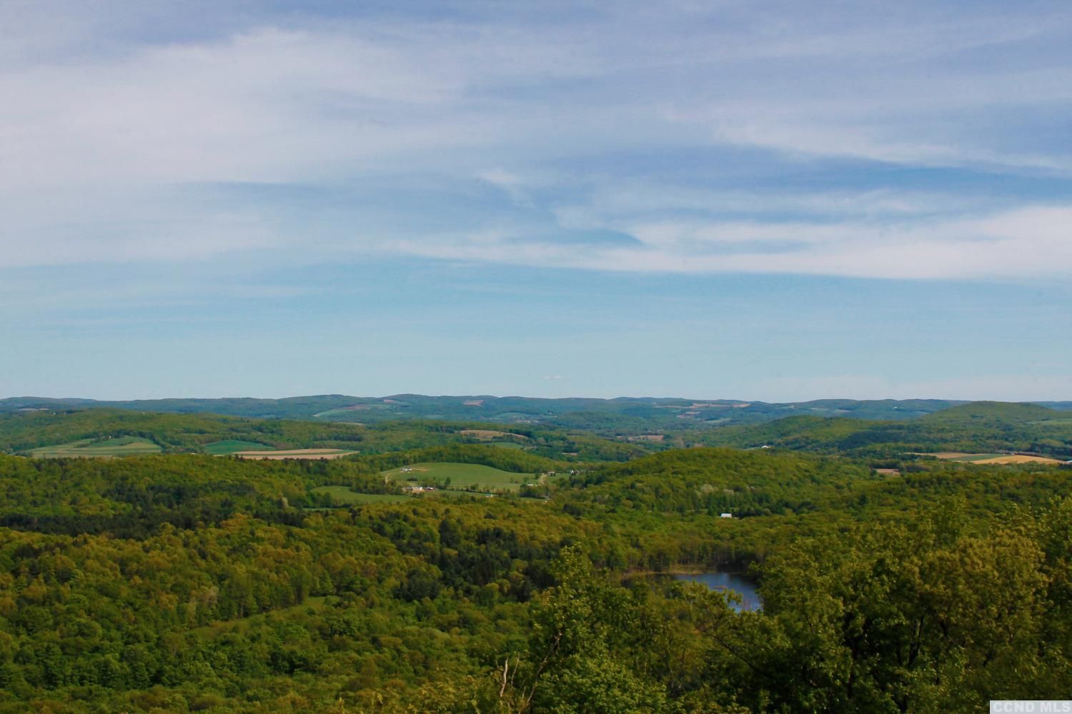 Elizaville, Columbia County, NY Undeveloped Land, Lakefront Property