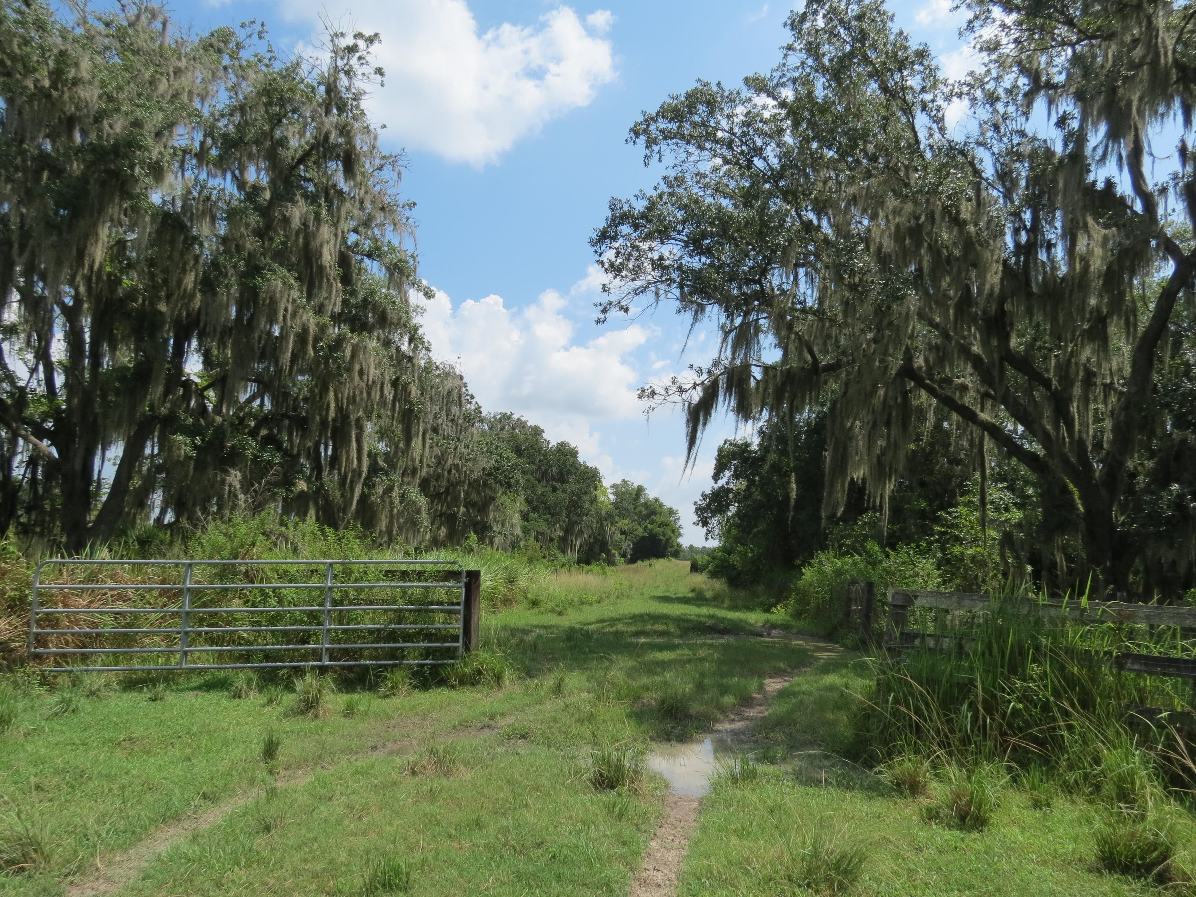 Plant City, Hillsborough County, FL for sale Property ID