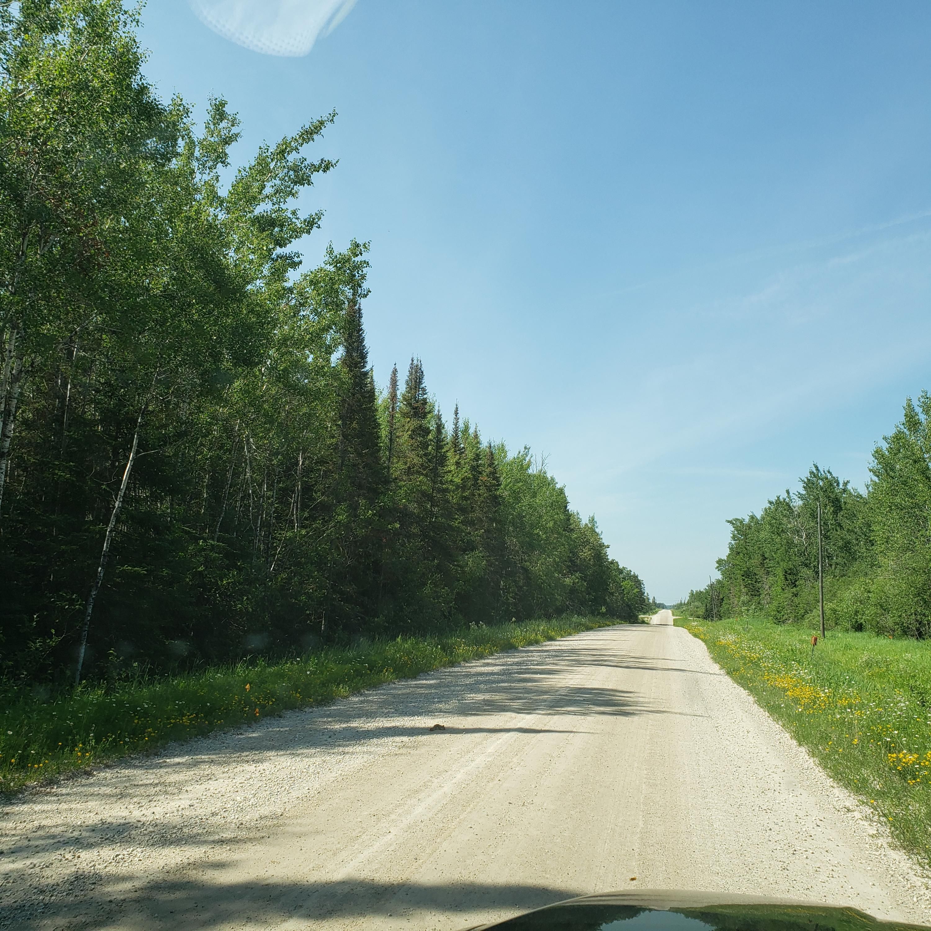 Rudyard, Chippewa County, MI Undeveloped Land for sale Property ID