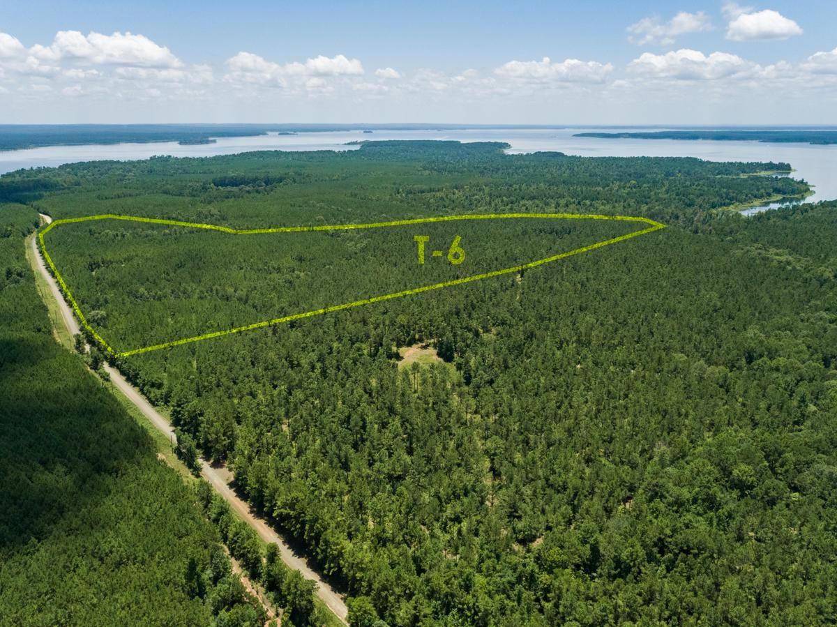 Pineland, San Augustine County, TX Recreational Property, Timberland