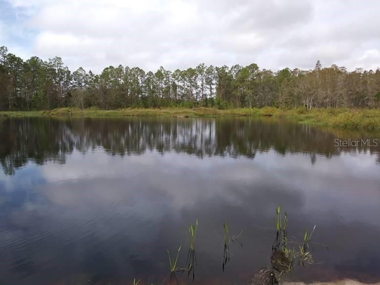 Groveland, Lake County, FL Undeveloped Land, Lakefront Property