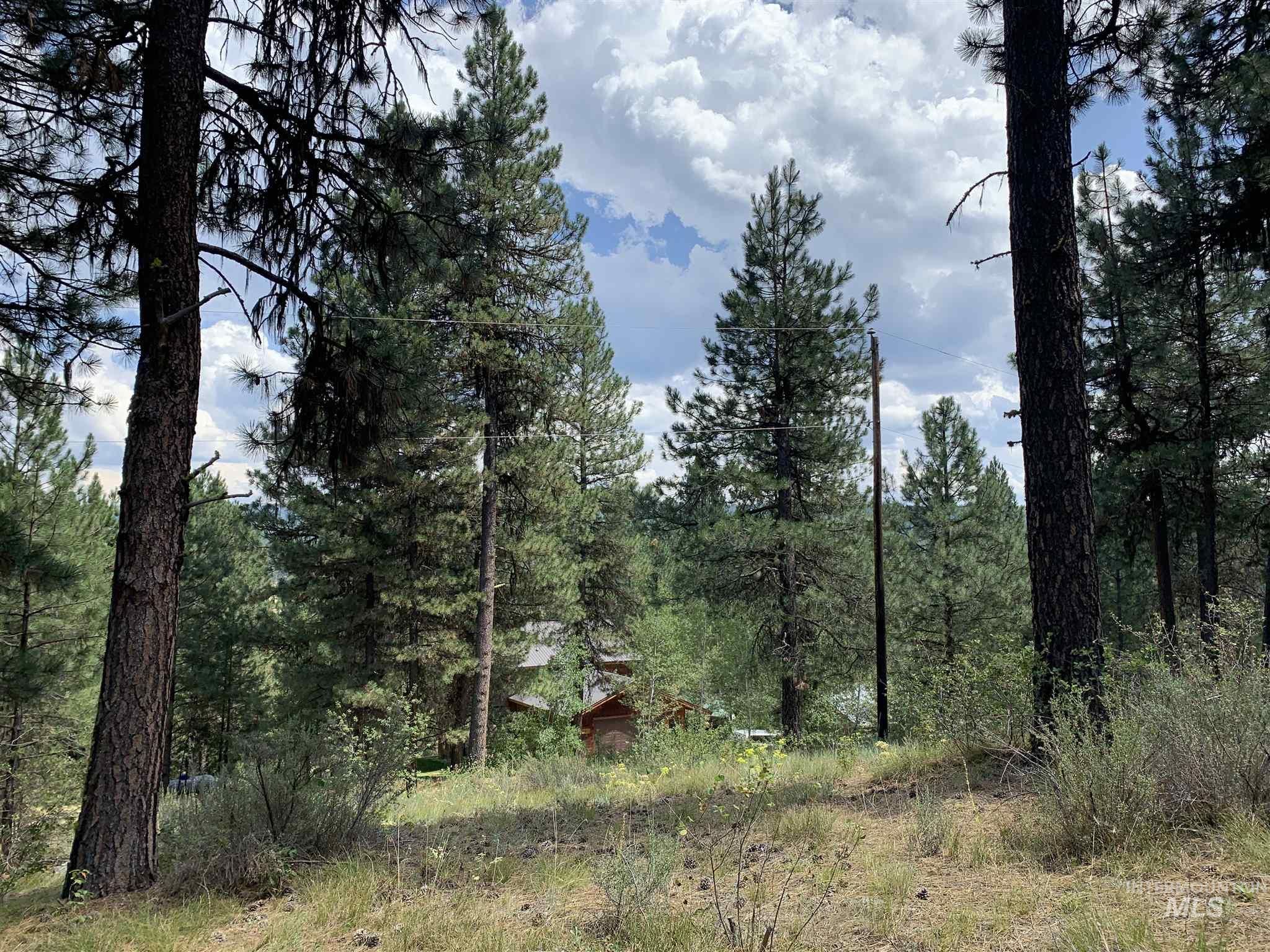 Centerville, Boise County, ID Undeveloped Land, Homesites for sale