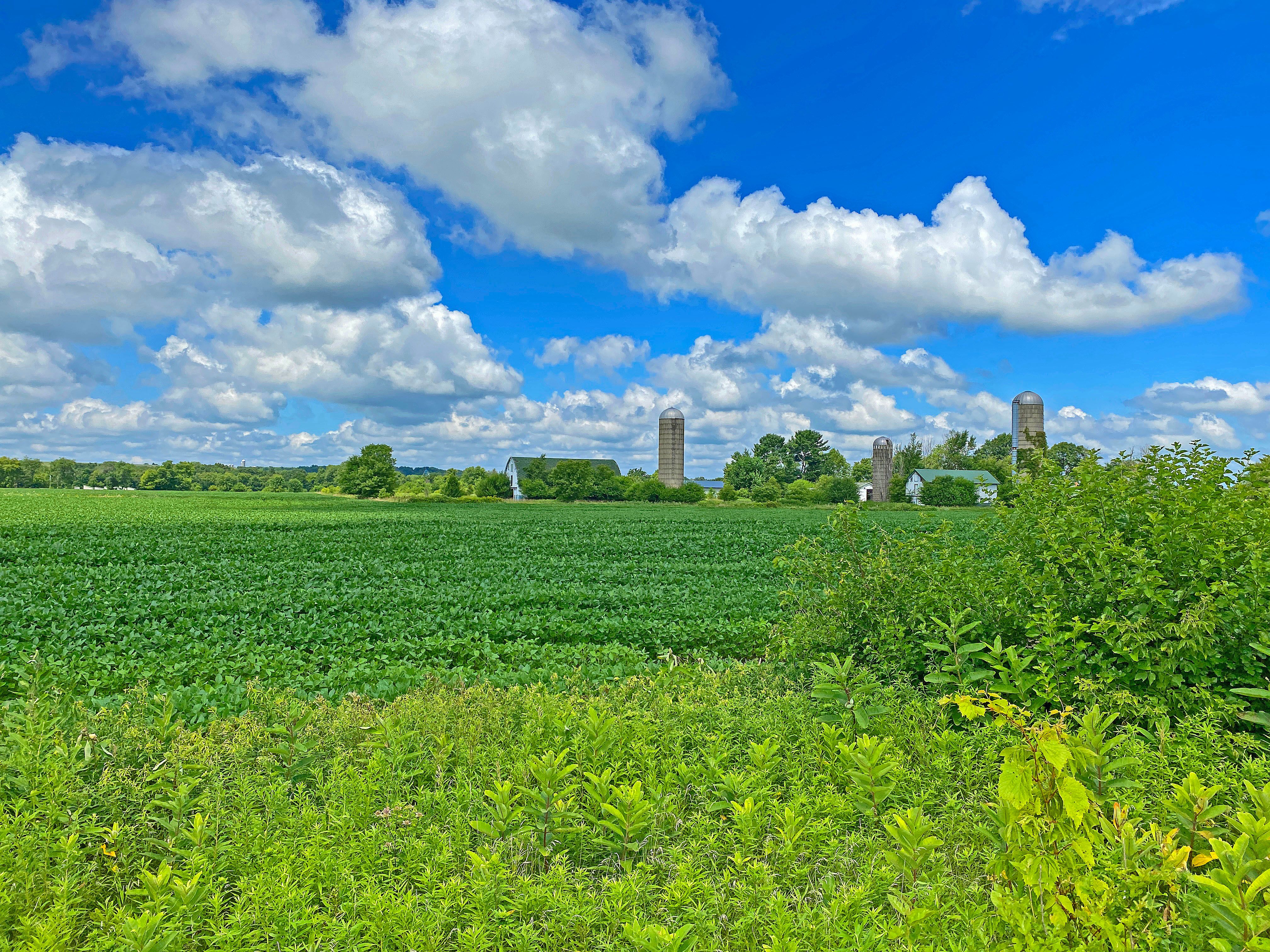 Albany, Green County, WI Undeveloped Land, Homesites for sale Property