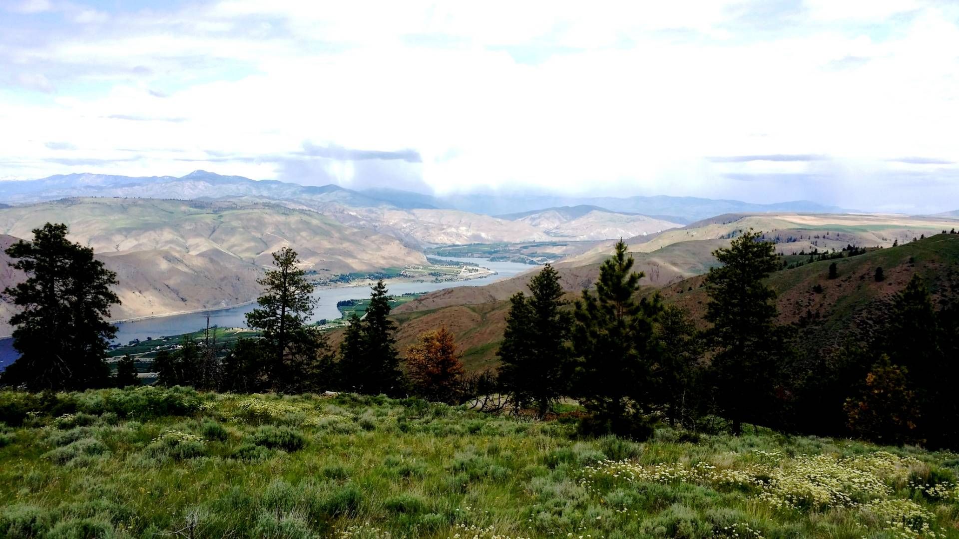 Waterville, Douglas County, WA Undeveloped Land for sale Property ID