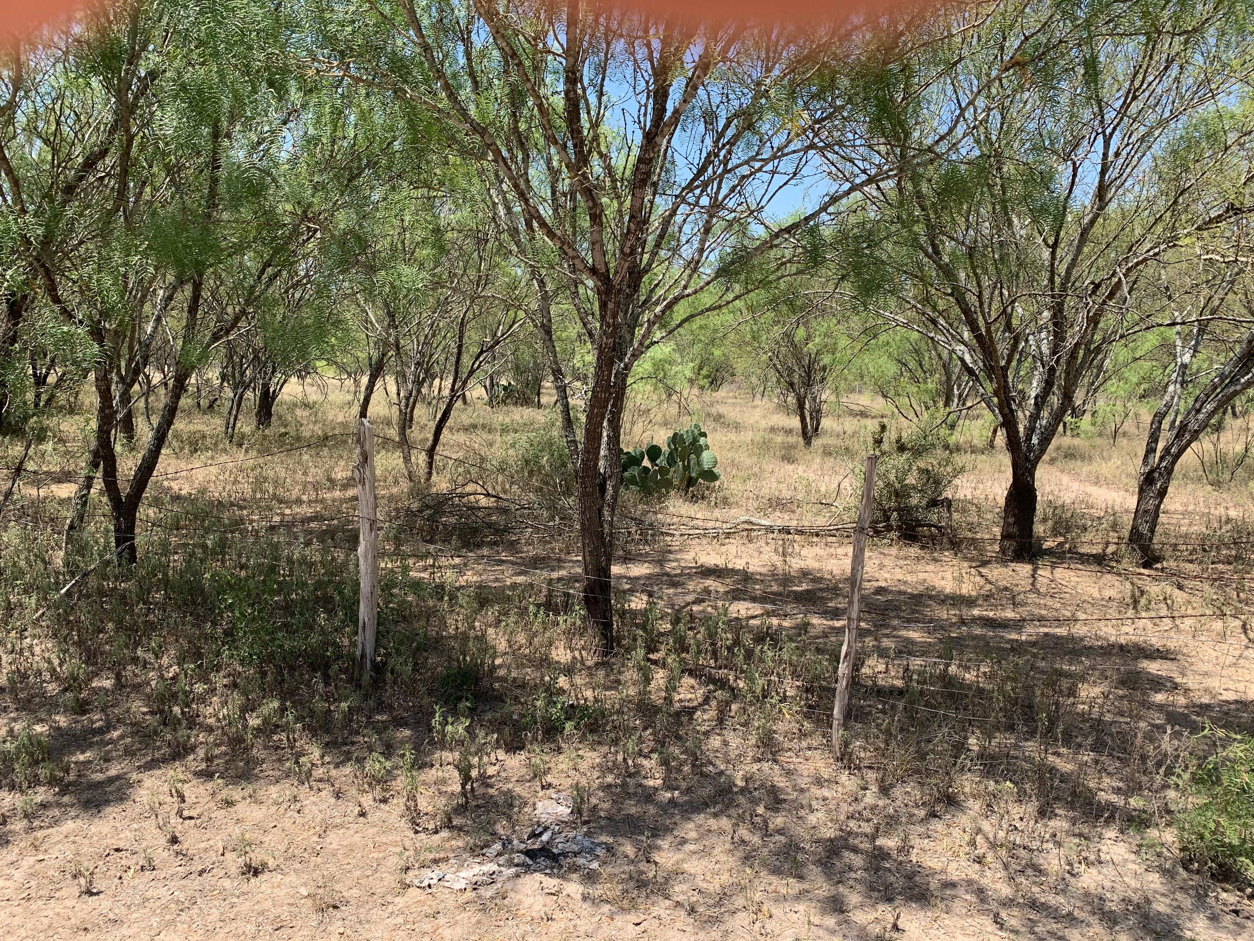 Uvalde, Uvalde County, TX Farms and Ranches, Homesites for sale Property ID 338693070 LandWatch