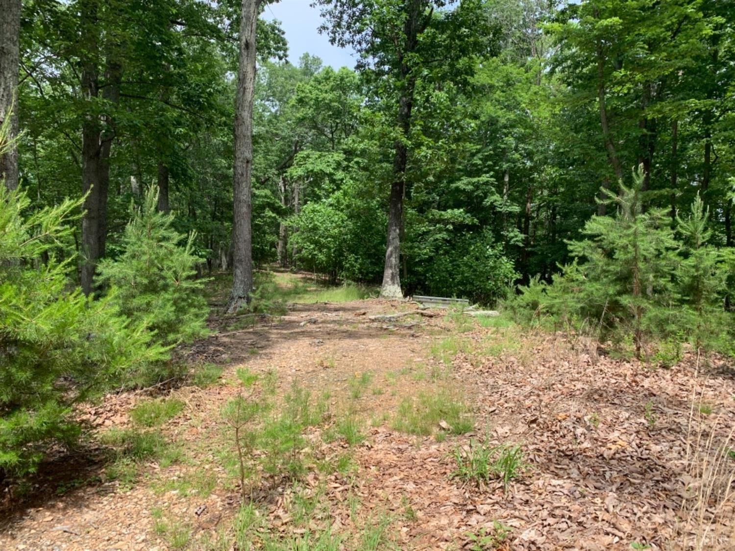 Rustburg, Campbell County, VA Undeveloped Land for sale Property ID