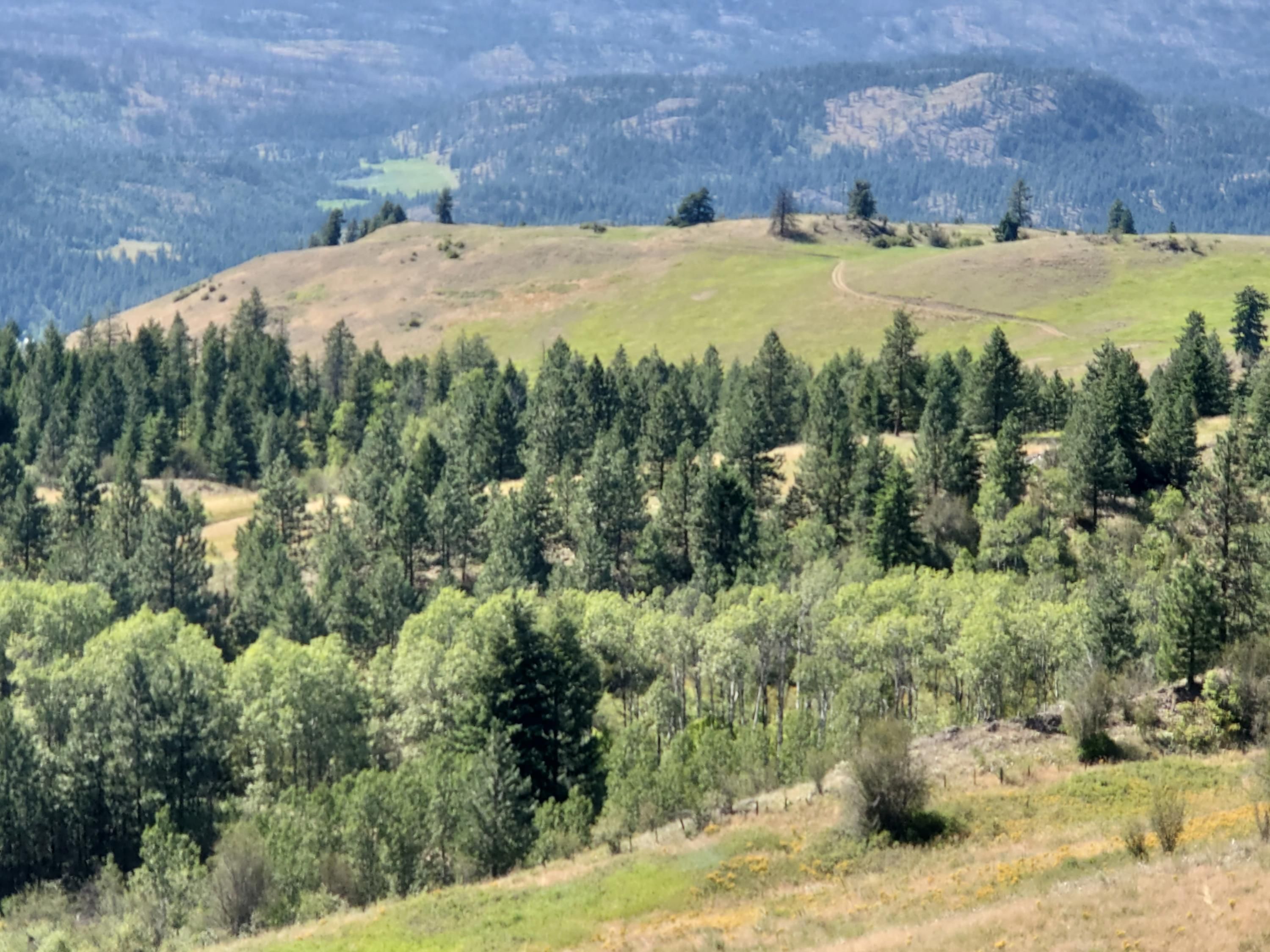 Kettle Falls, Stevens County, WA Undeveloped Land for sale Property ID 338707225 LandWatch