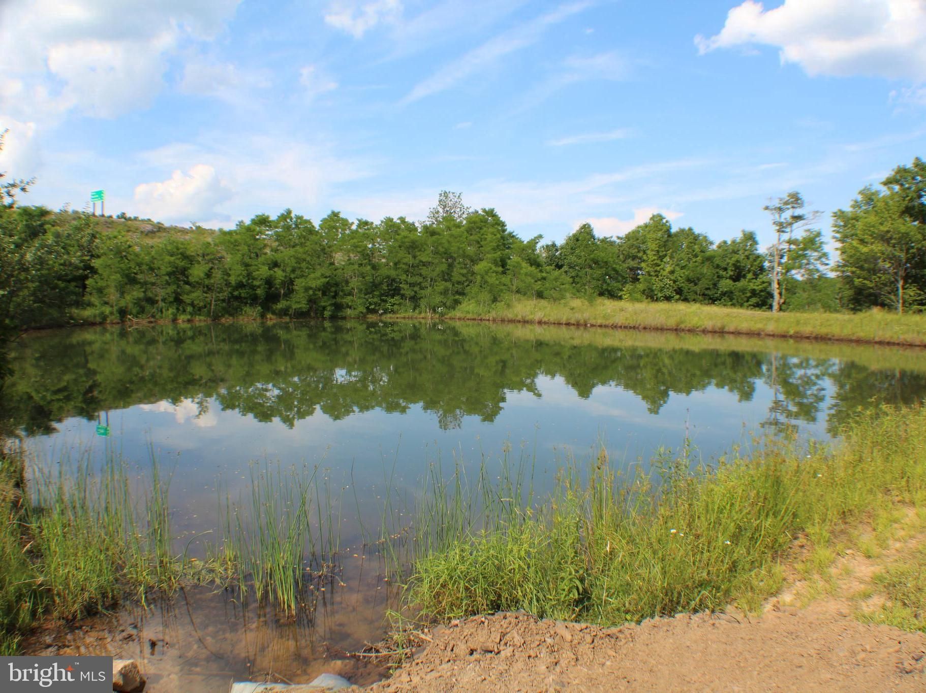 Mount Storm, Grant County, WV Undeveloped Land, Lakefront Property