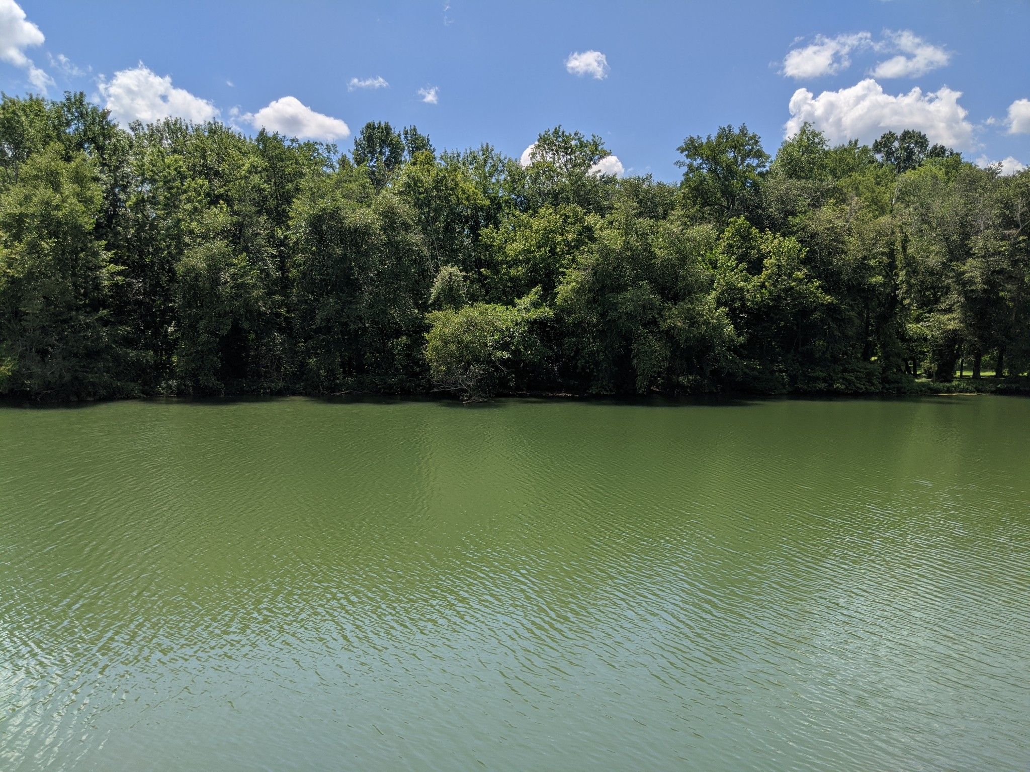 McMinnville, Warren County, TN Undeveloped Land, Homesites for sale