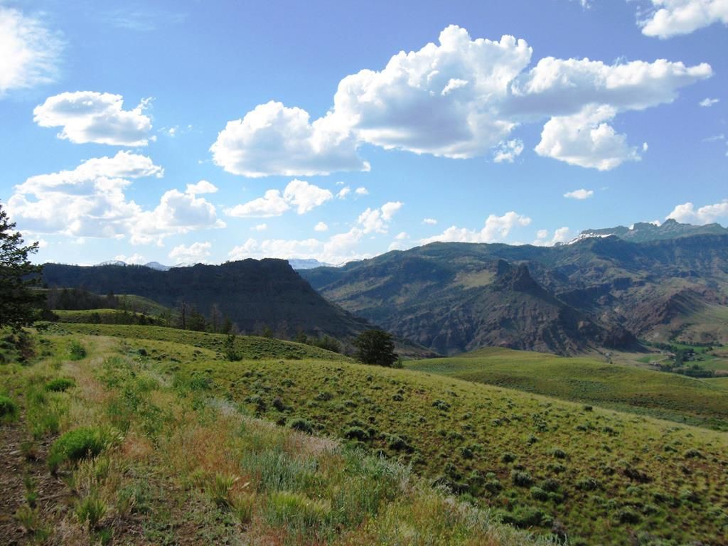 Cody, Park County, WY Undeveloped Land for sale Property ID 338834325