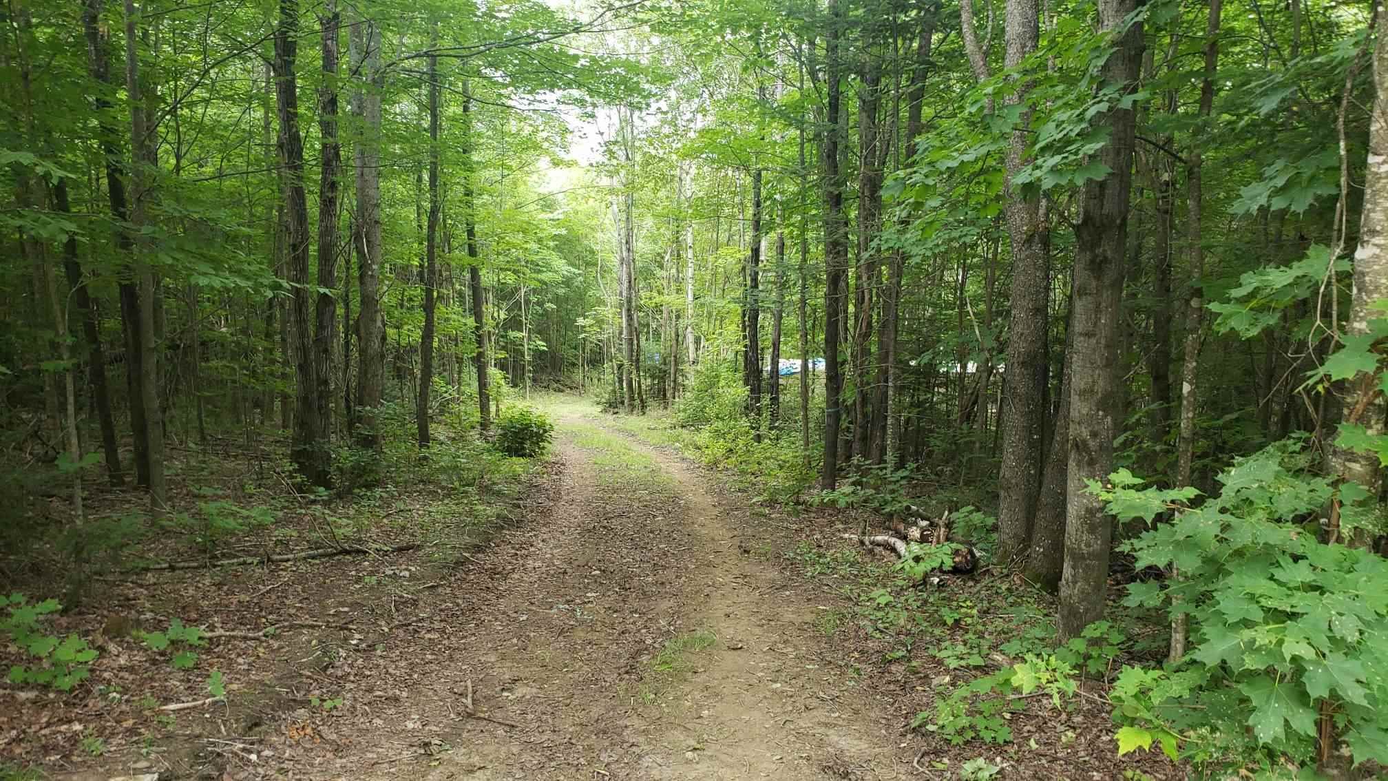 Columbia, Coos County, NH Undeveloped Land for sale Property ID