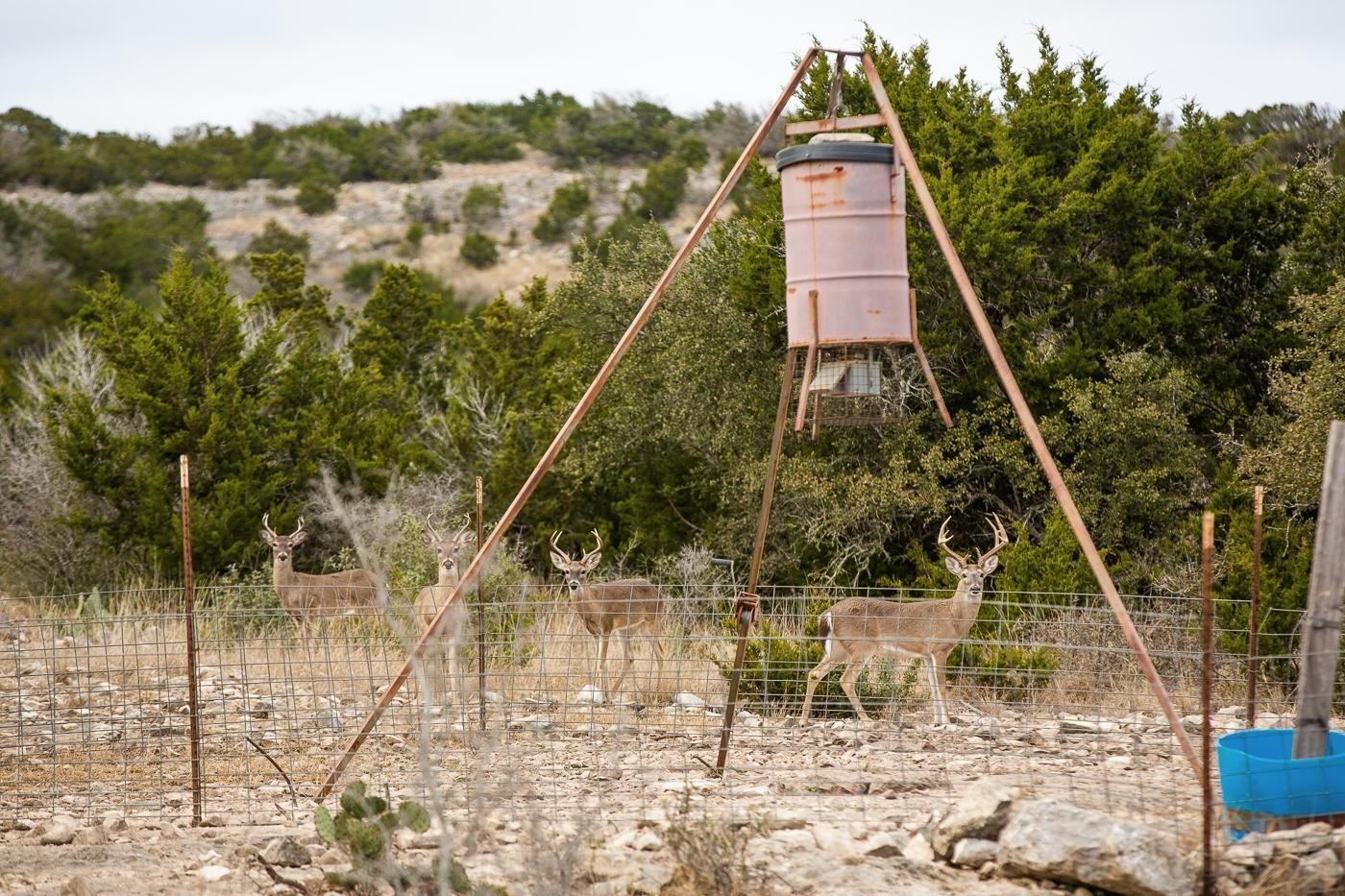 Rocksprings, Edwards County, TX Farms and Ranches, Recreational