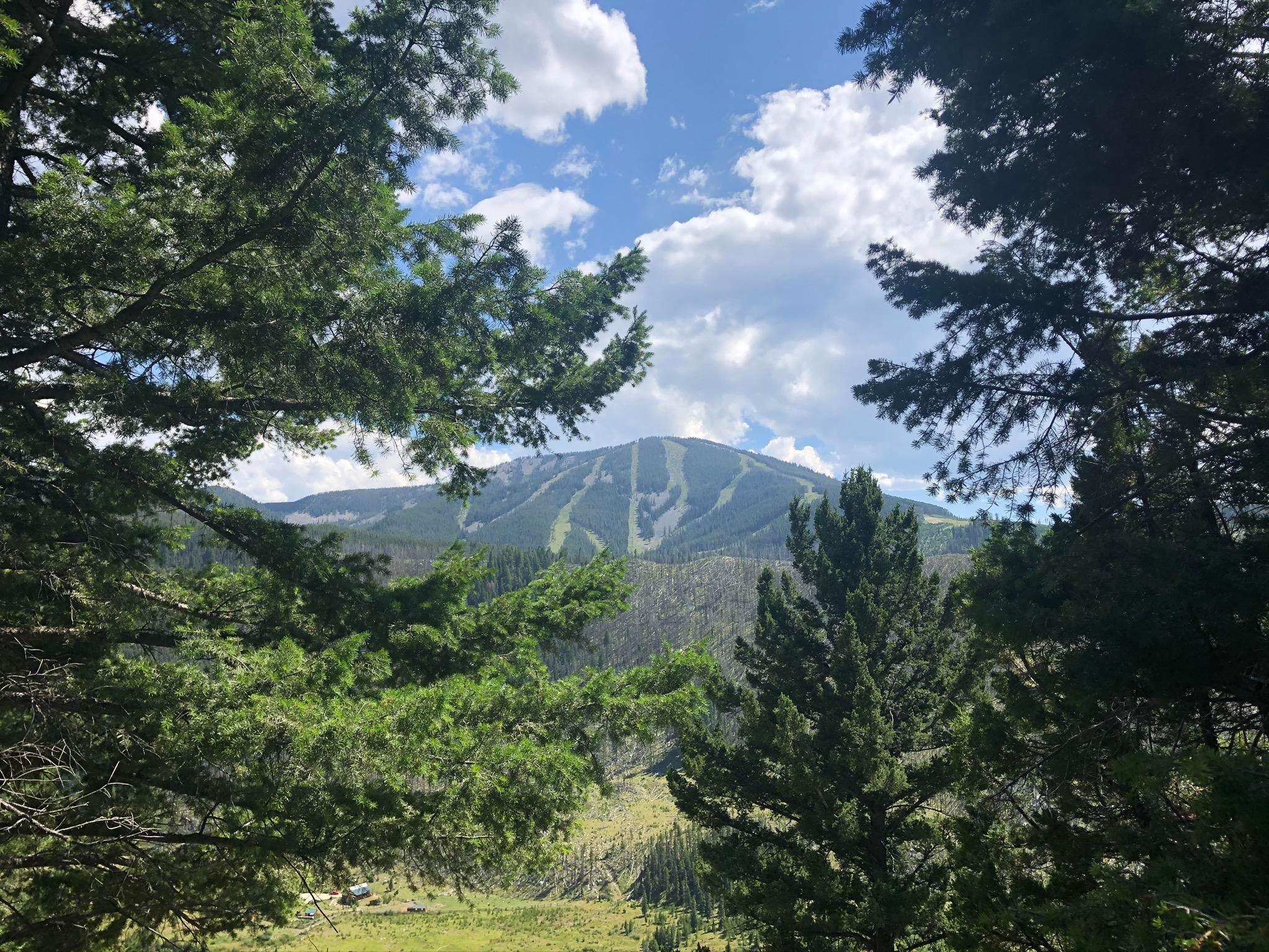 Philipsburg, Granite County, MT Undeveloped Land for sale Property ID