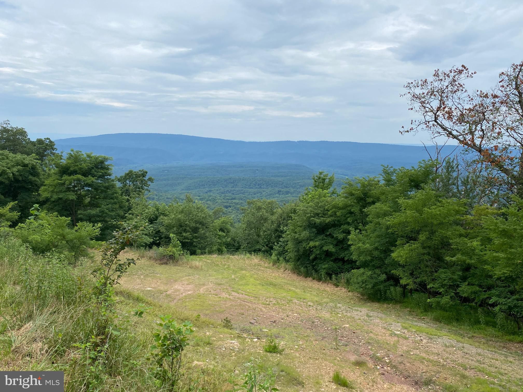 Great Cacapon, County, WV Undeveloped Land for sale Property ID