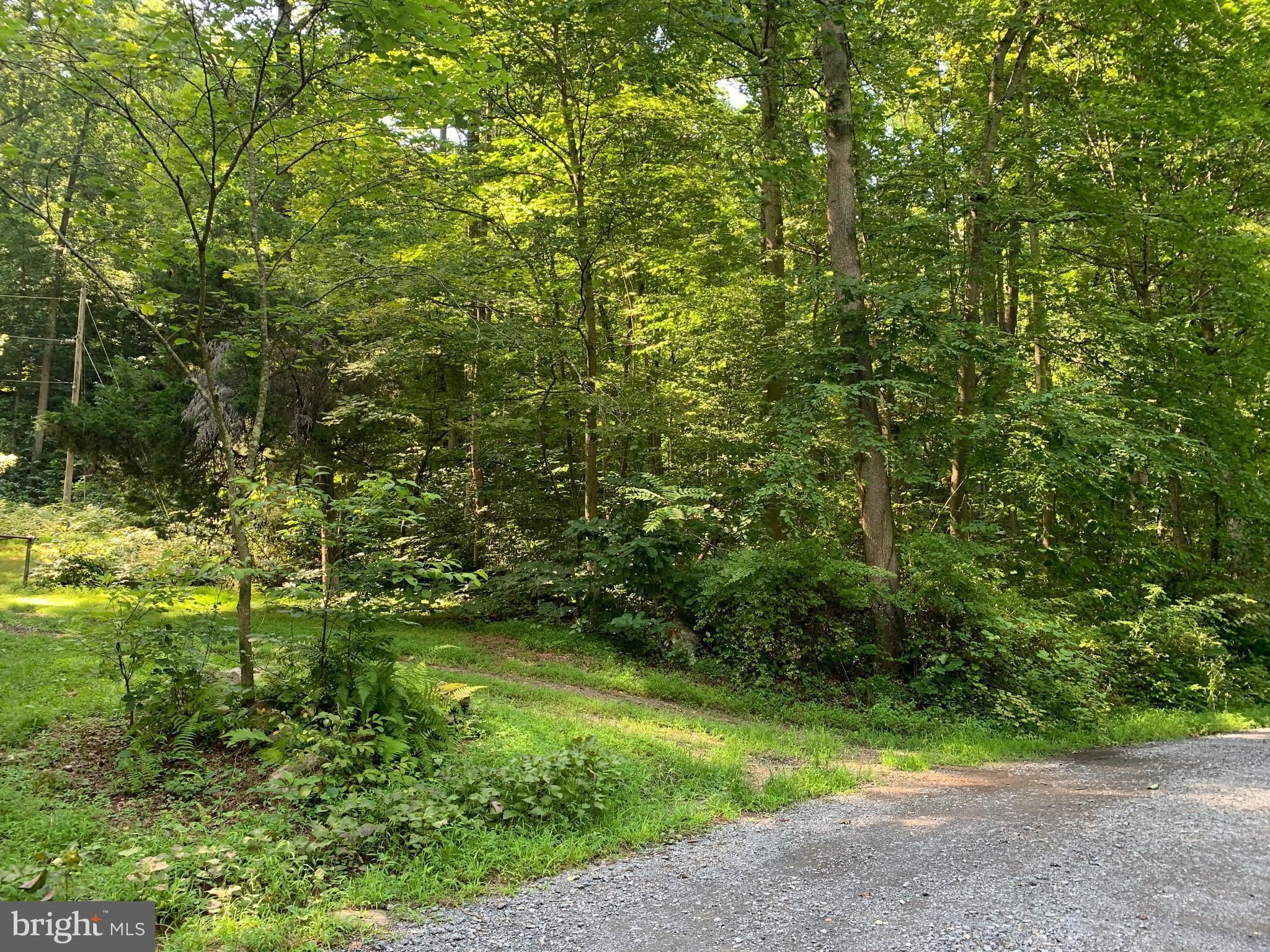 Great Cacapon, County, WV Undeveloped Land for sale Property ID