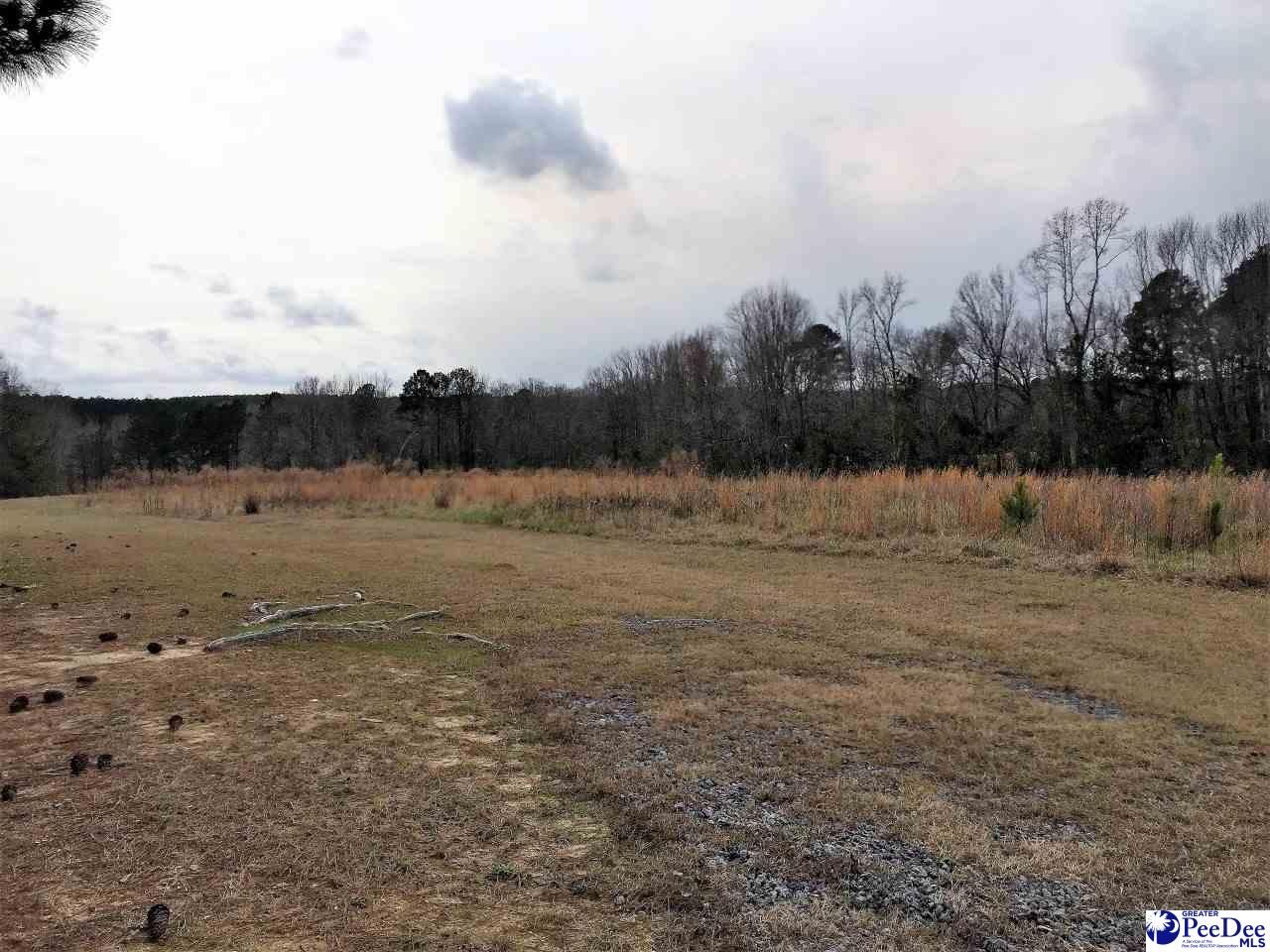 Chesterfield, Chesterfield County, SC Farms and Ranches for sale