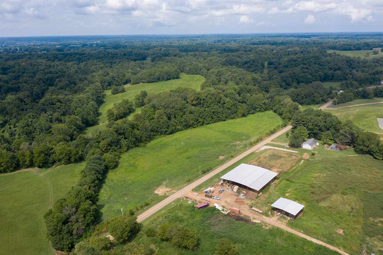 Obion, Obion County, TN Farms and Ranches for sale Property ID