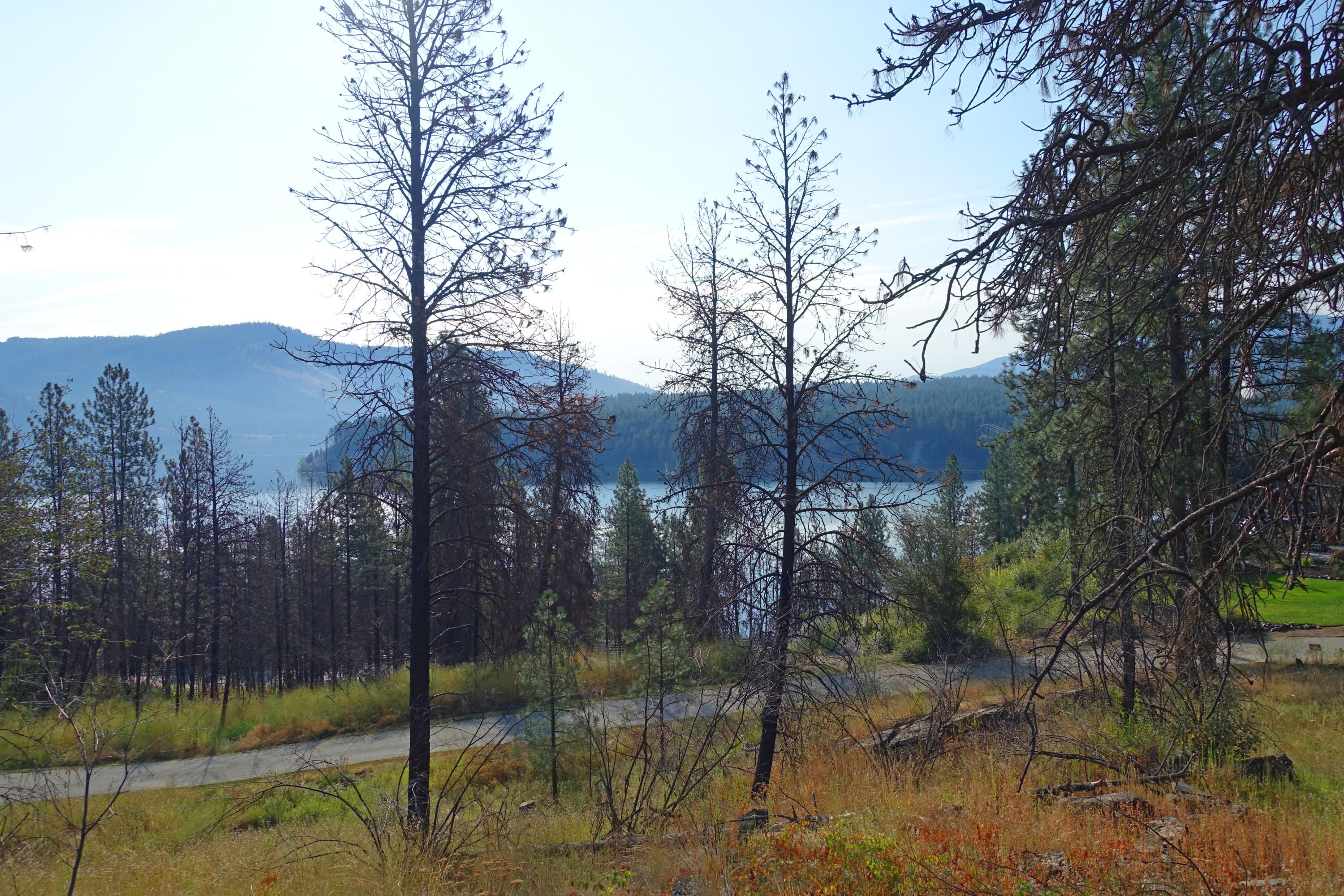 Kettle Falls, Stevens County, WA Undeveloped Land, Homesites for sale Property ID 338928821
