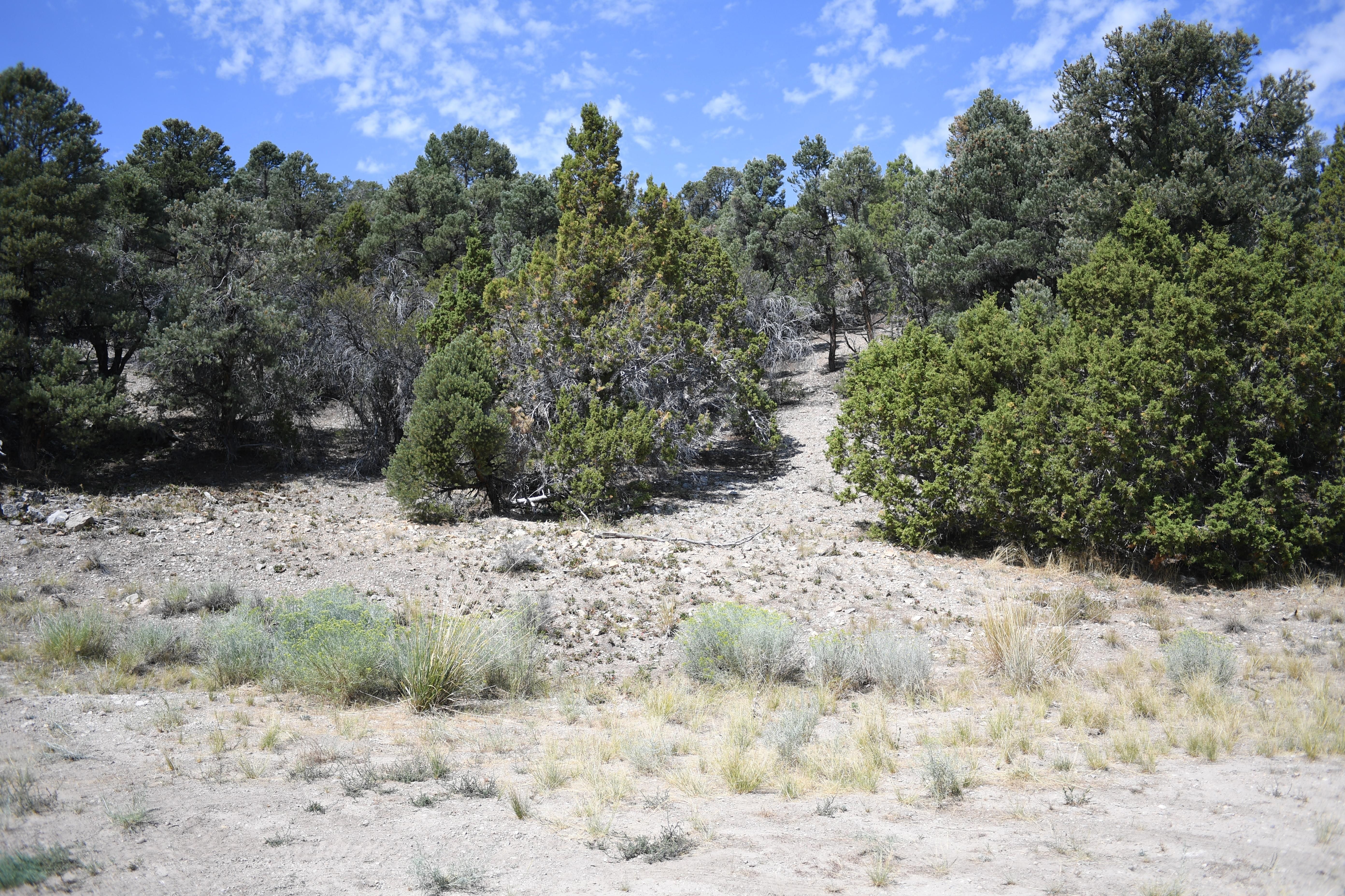 Ely, White Pine County, NV Undeveloped Land for sale Property ID