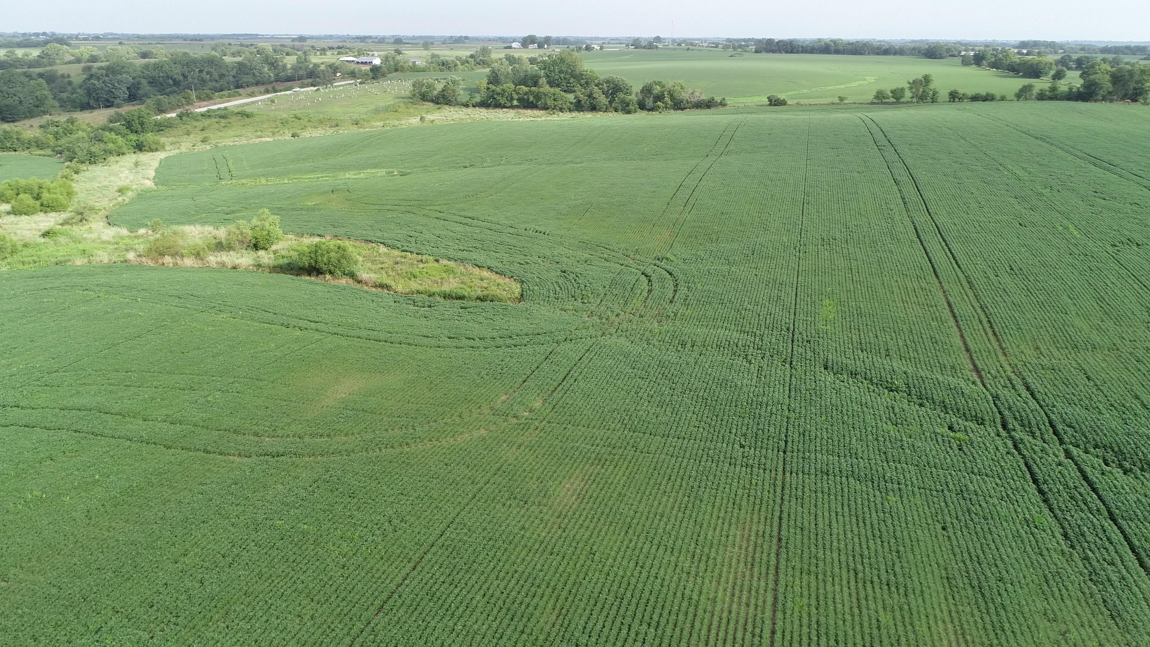 Woodburn, Clarke County, IA Farms and Ranches for sale Property ID