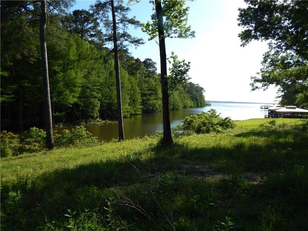 Many, Sabine Parish, LA Undeveloped Land, Lakefront Property