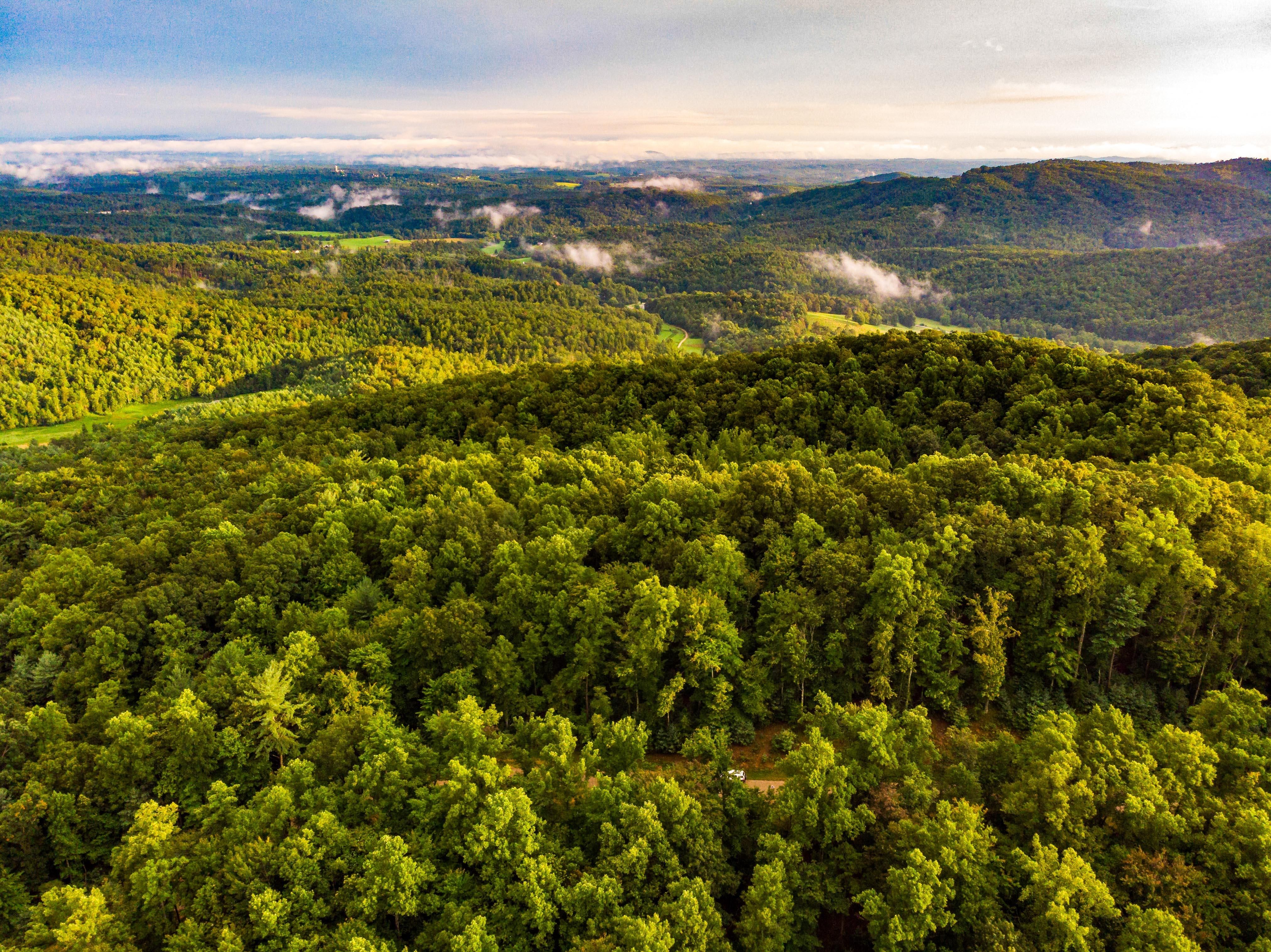 Mcgrady, Wilkes County, NC Undeveloped Land for sale Property ID