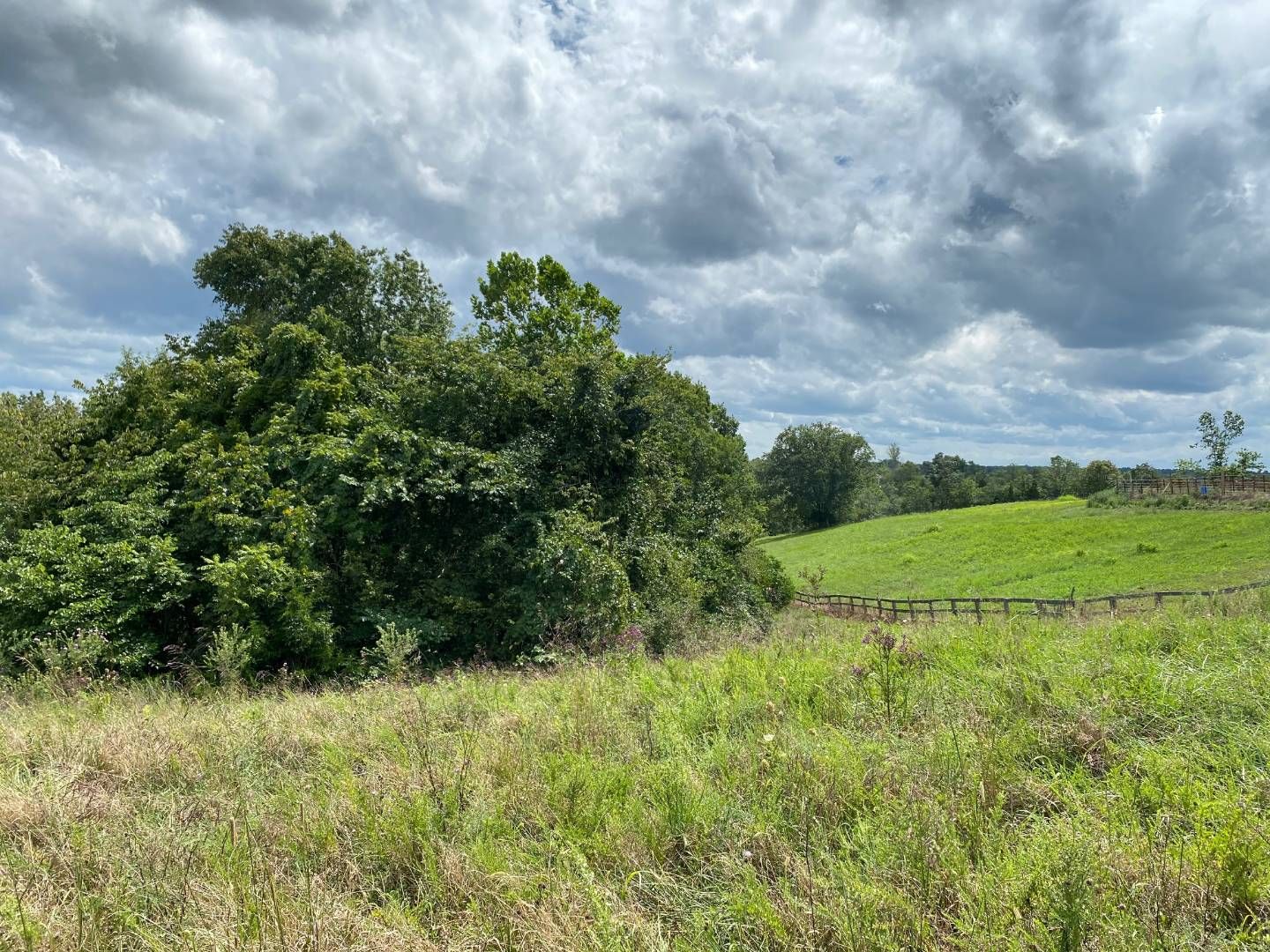 Willisburg, Washington County, KY Undeveloped Land for sale Property ID