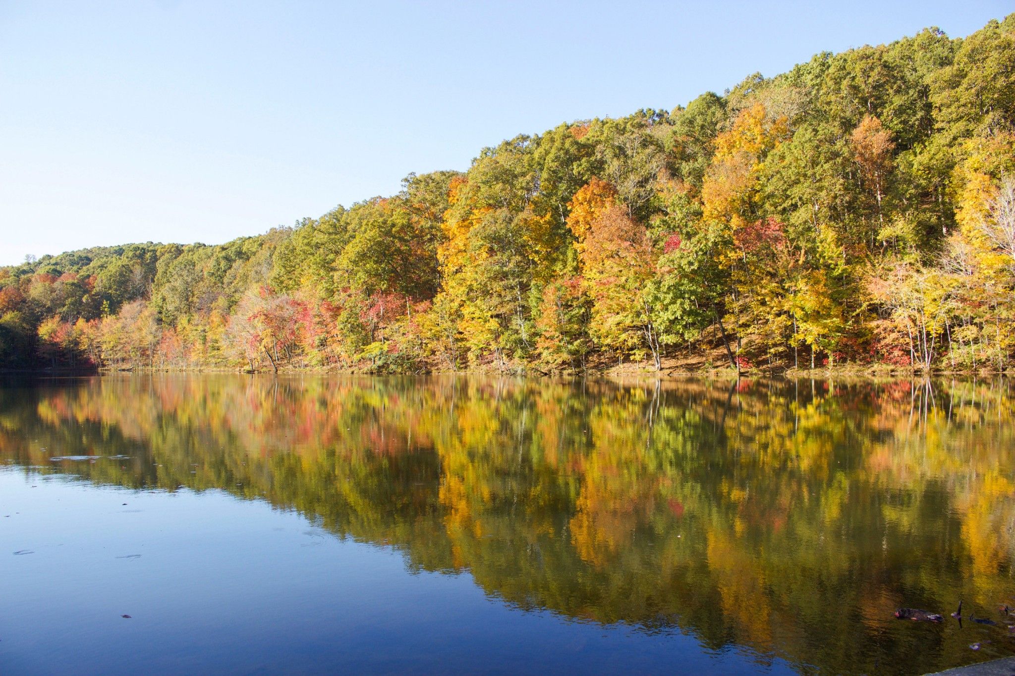 Sugar Tree, Decatur County, TN House for sale Property ID 339014880