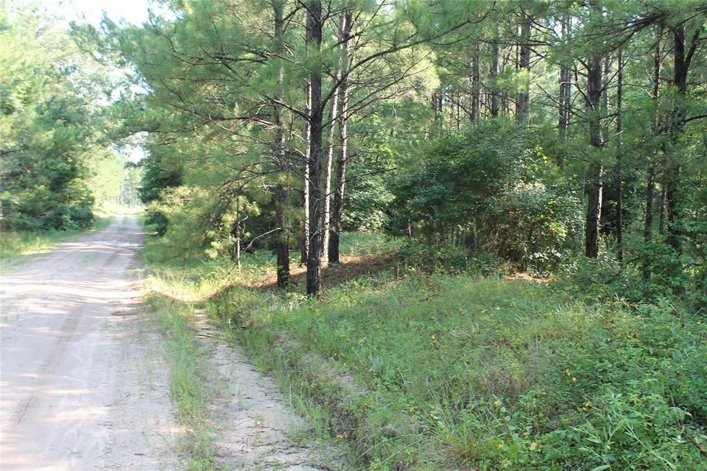 Corrigan, Polk County, TX Farms and Ranches, Timberland Property