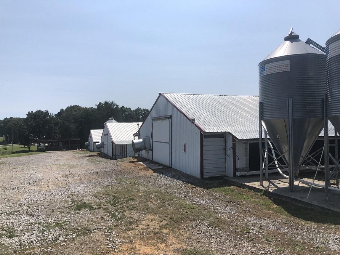 Cullman, Cullman County, AL Farms and Ranches for sale Property ID