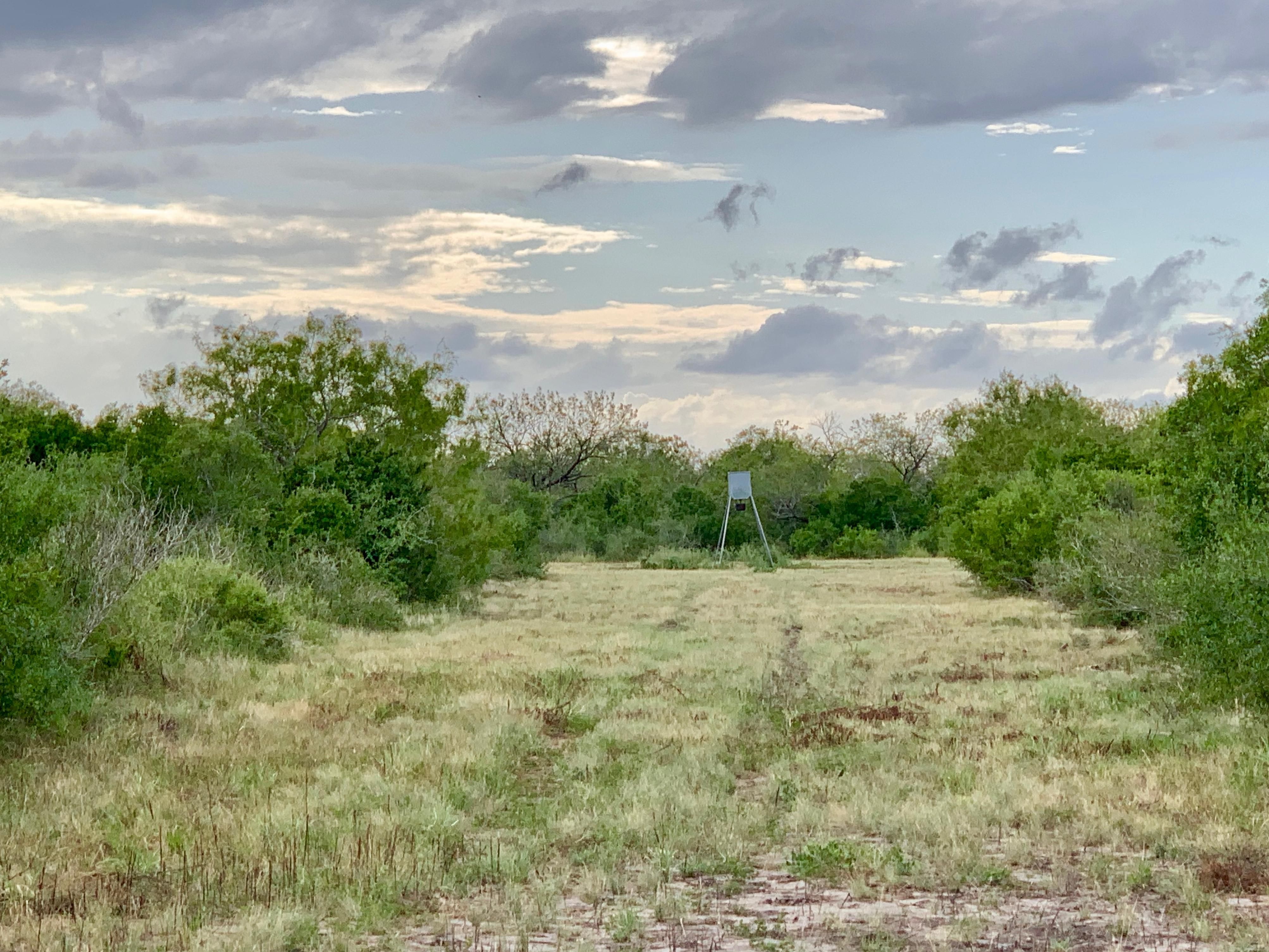 Campbellton, Atascosa County, TX Farms and Ranches, Hunting Property