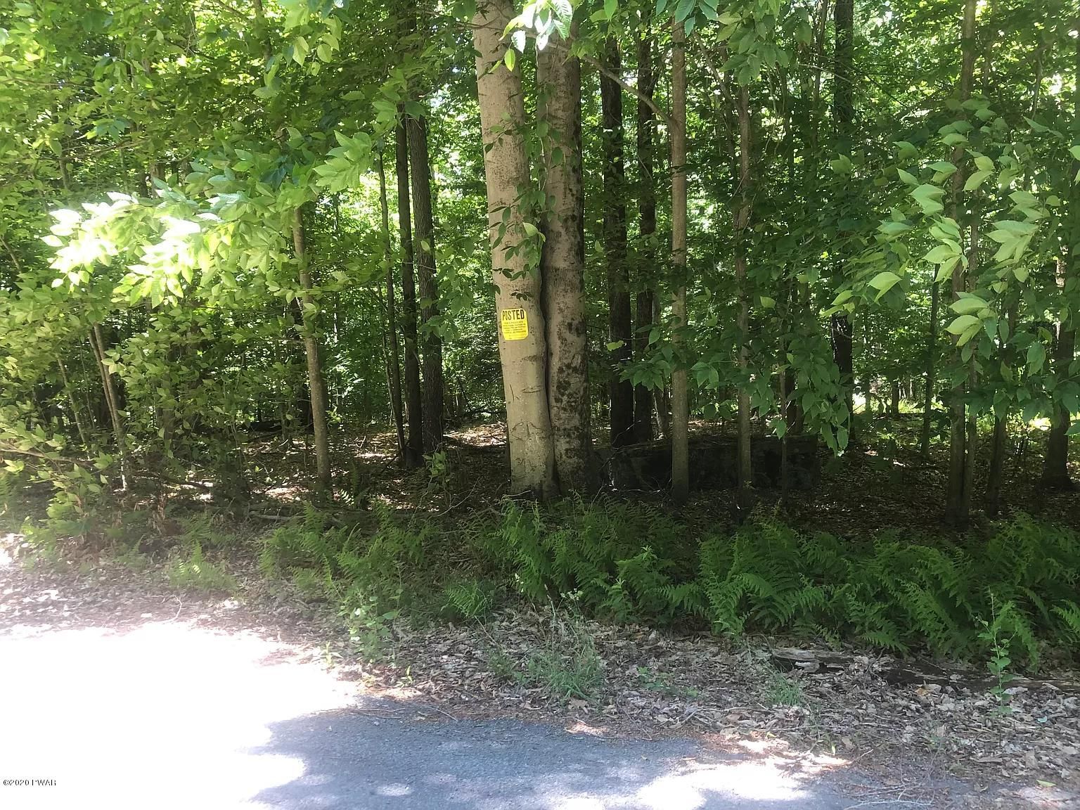 Greentown, Pike County, PA Undeveloped Land, Homesites for sale