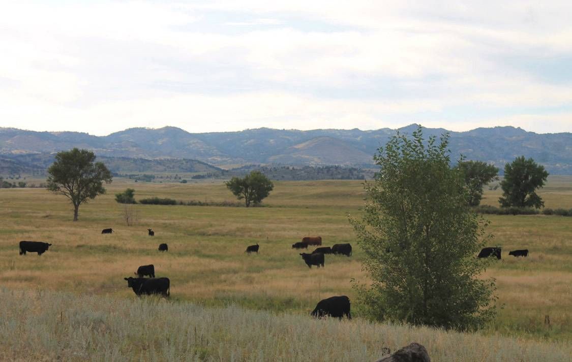 Wheatland, Platte County, WY Farms and Ranches, House for sale Property