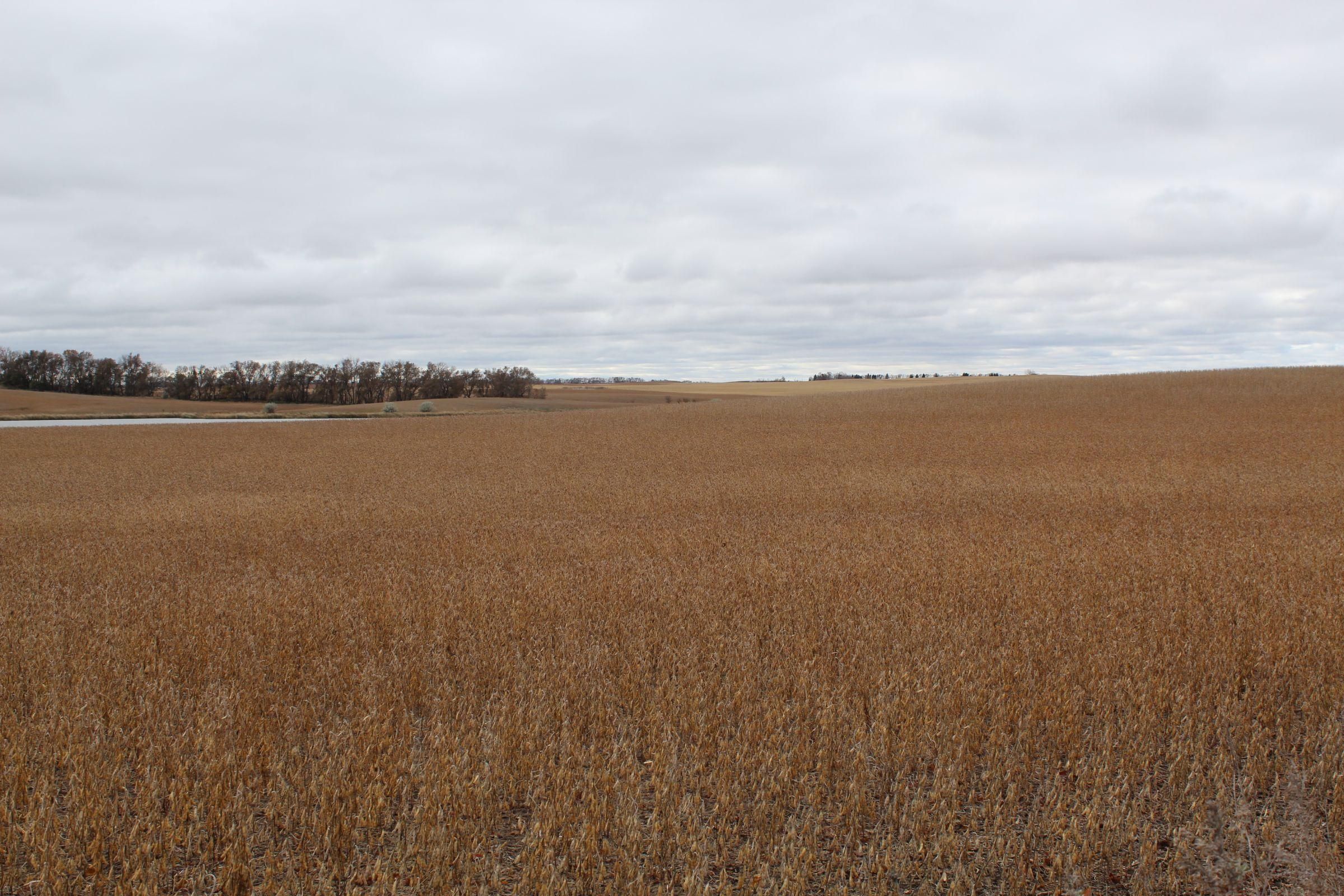 Gackle, Stutsman County, ND Farms and Ranches for sale Property ID